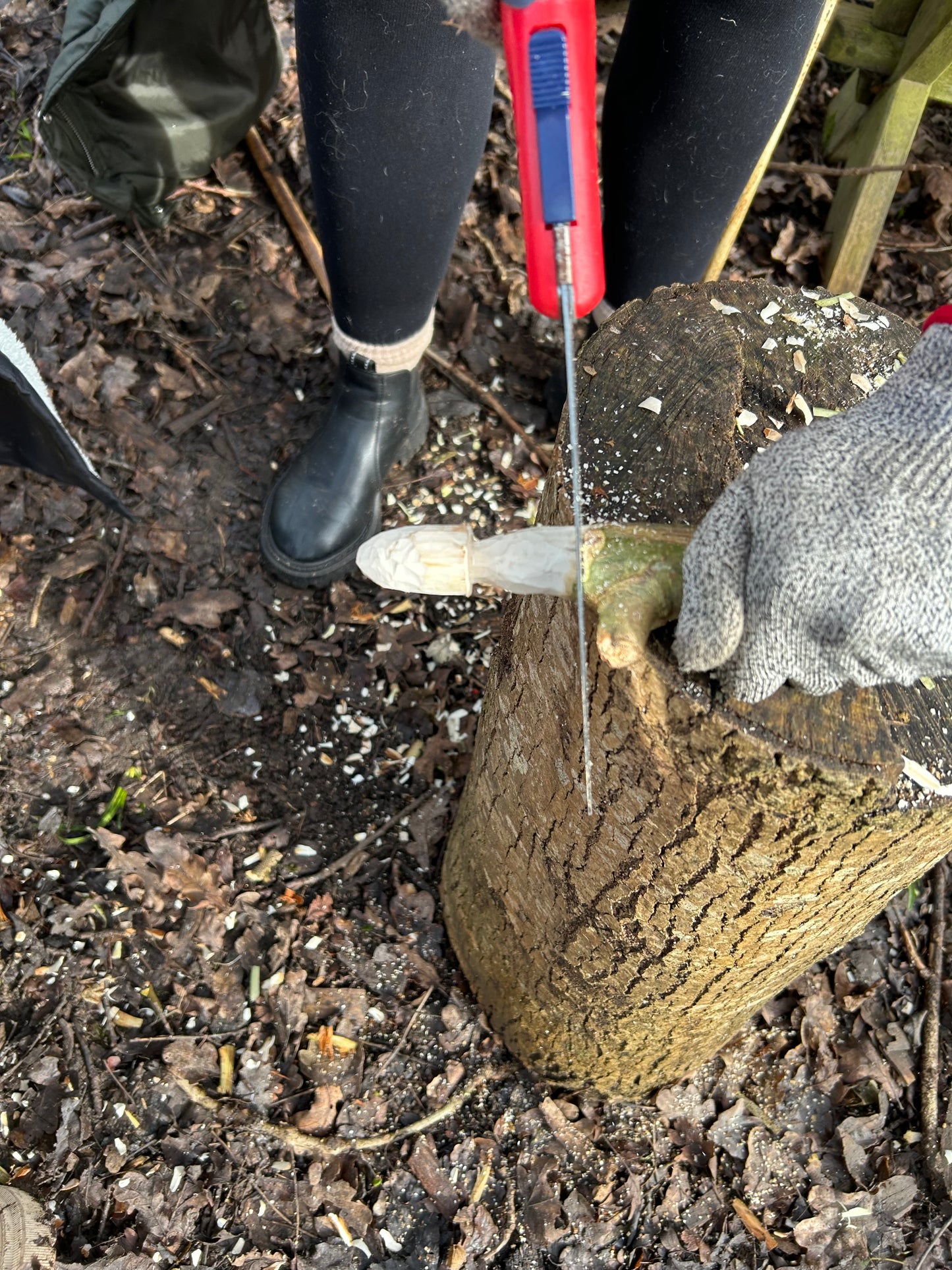 Mini Mushroom Woodcarving Sessions