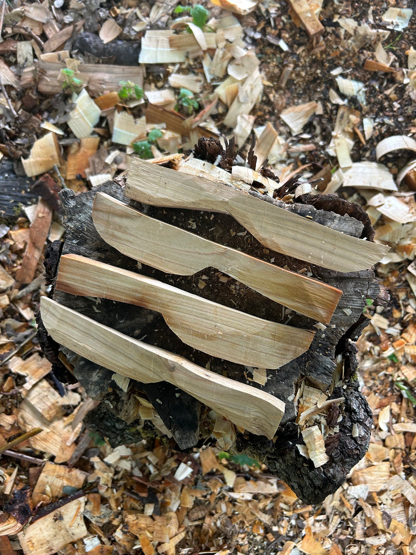 Butter Spreader Carving Kits