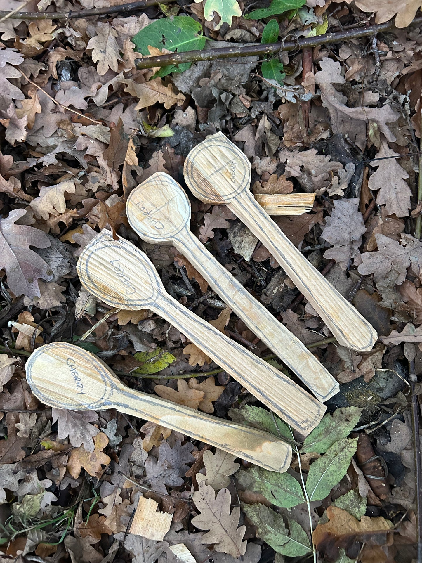 Green-Wood Carving Blanks - Top up kit!