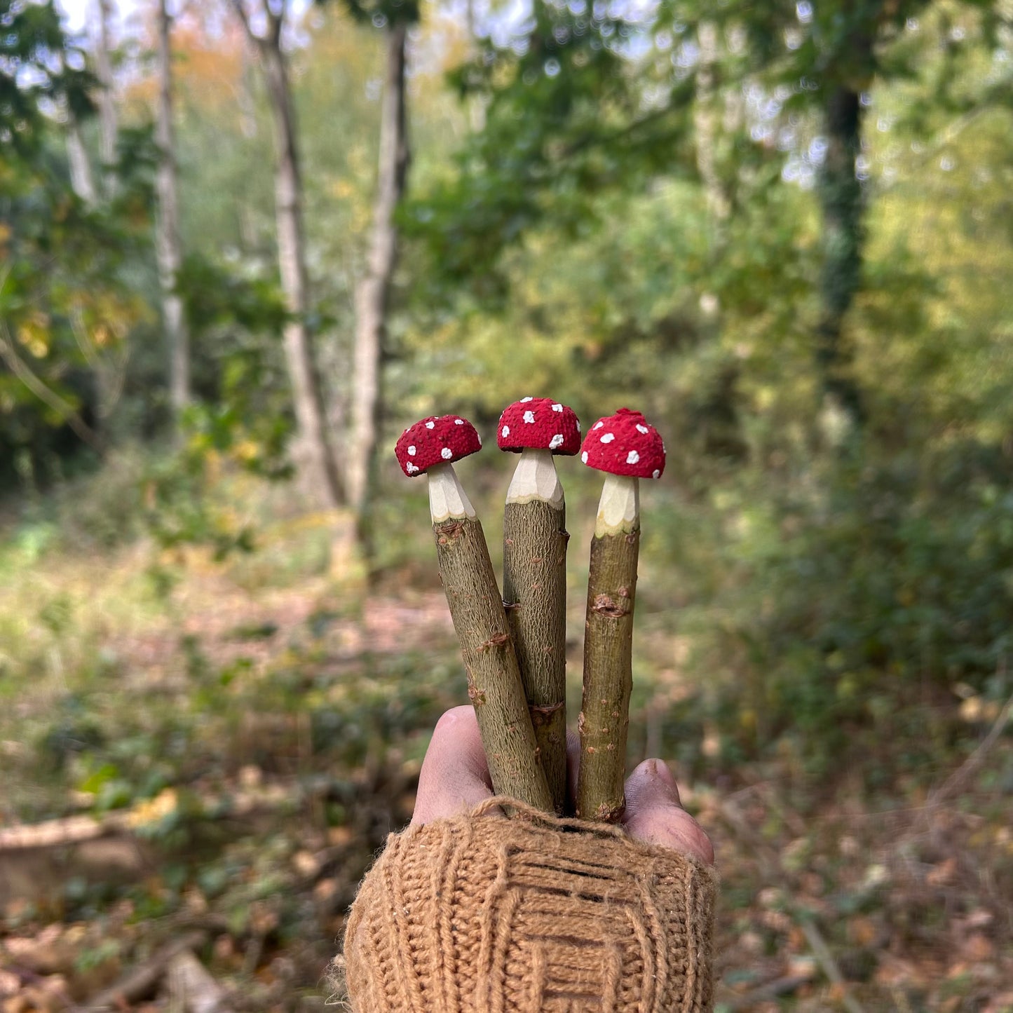 Magic Toadstool Pencils