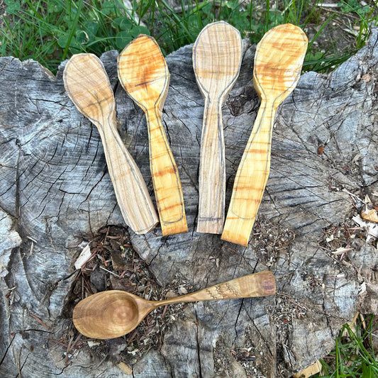 Green-Wood Carving Blanks - Top up kit!