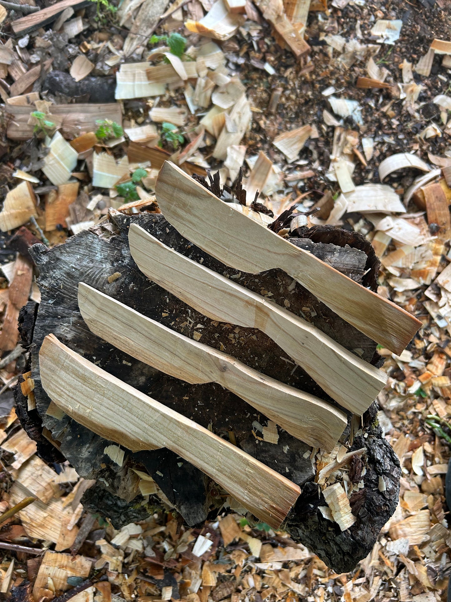 Butter Spreader Carving Kits