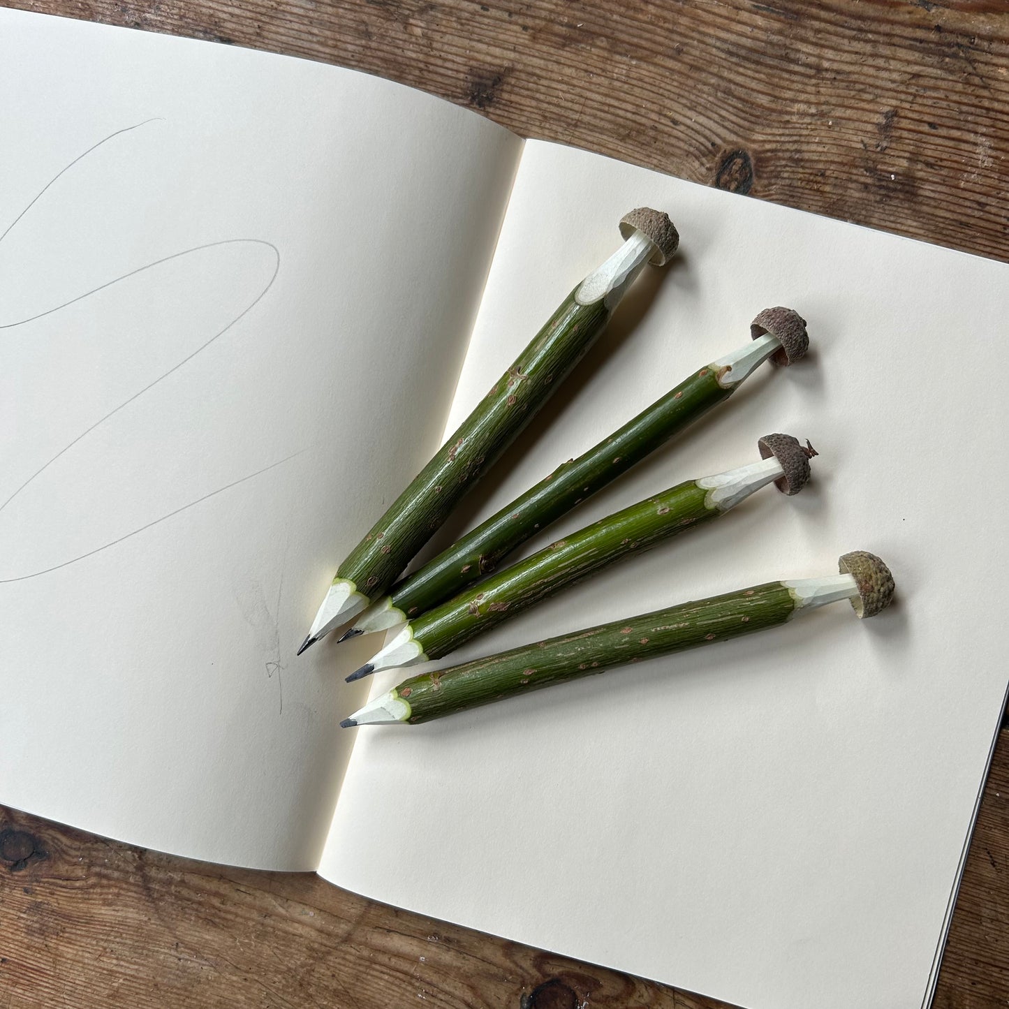 Magic Toadstool Pencils