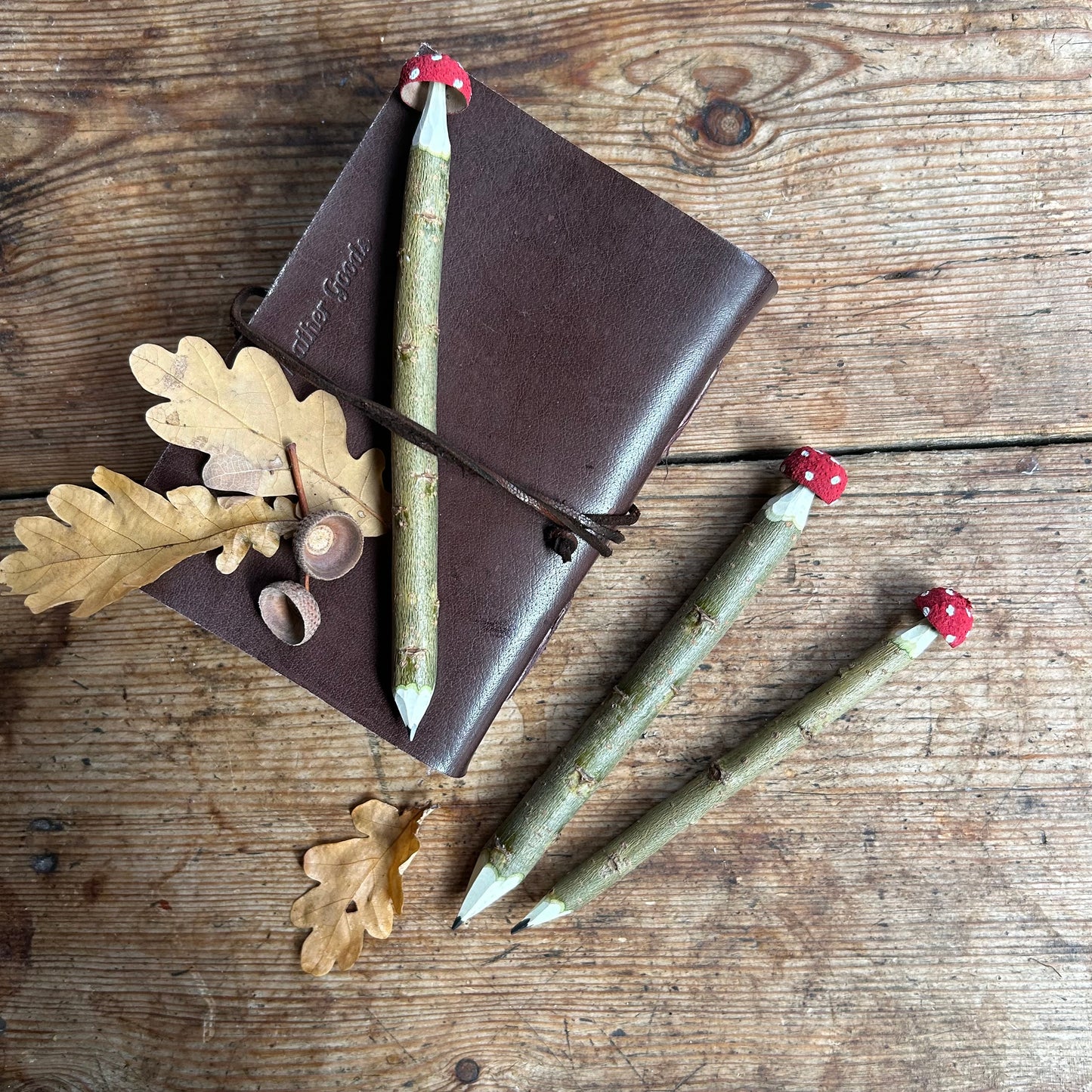 Magic Toadstool Pencils
