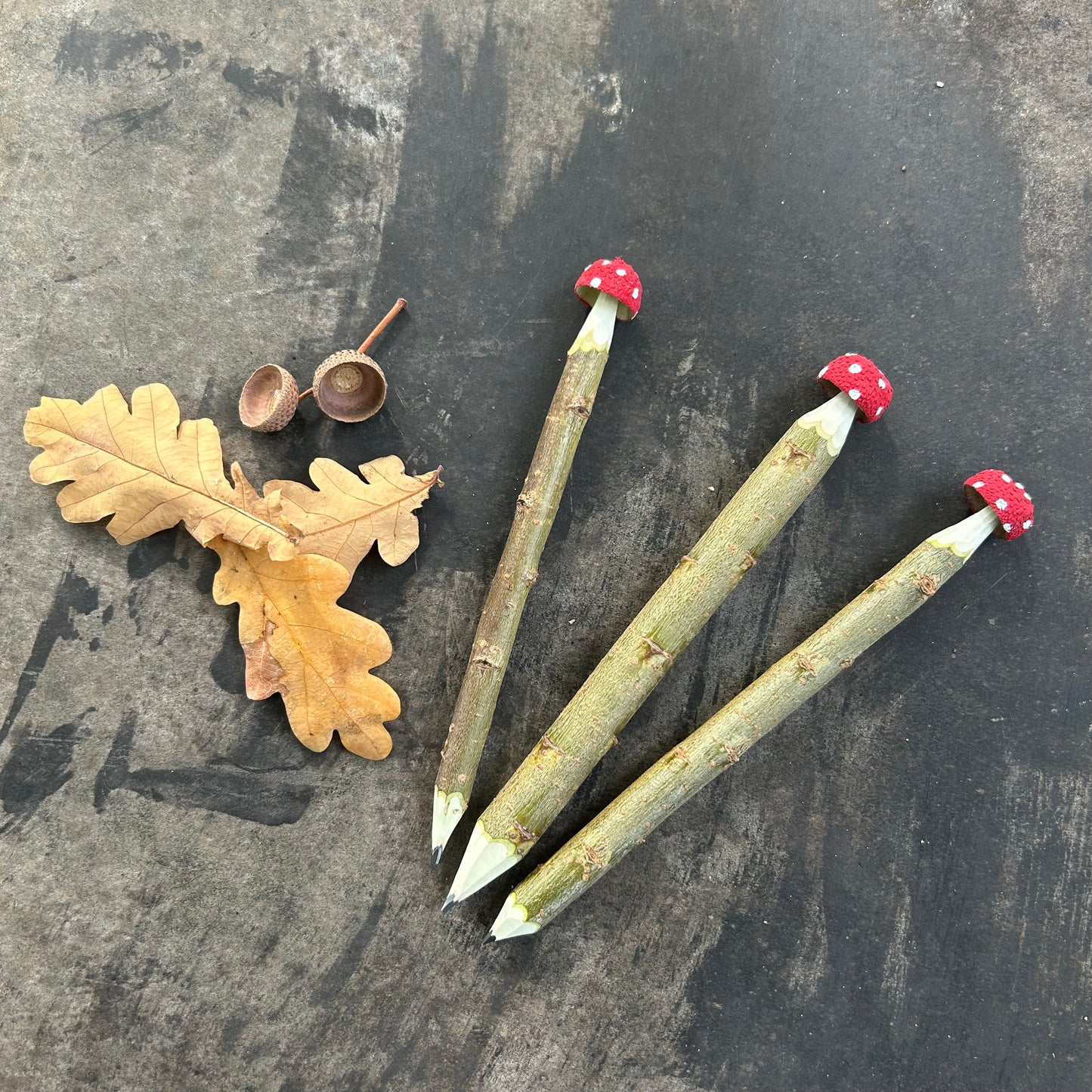 Magic Toadstool Pencils