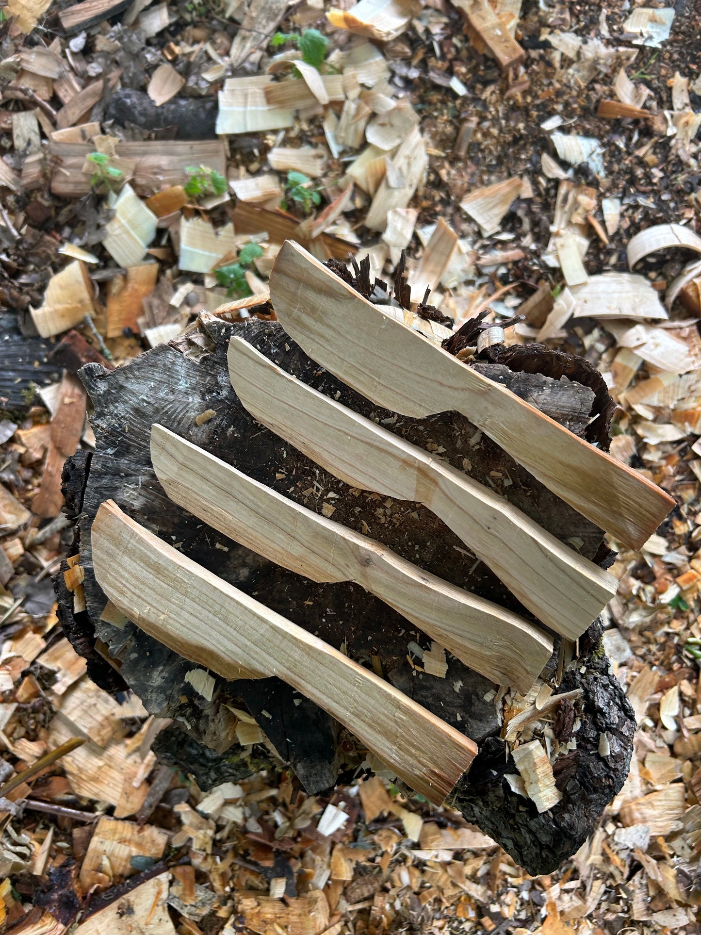 Butter Spreader Carving Kits