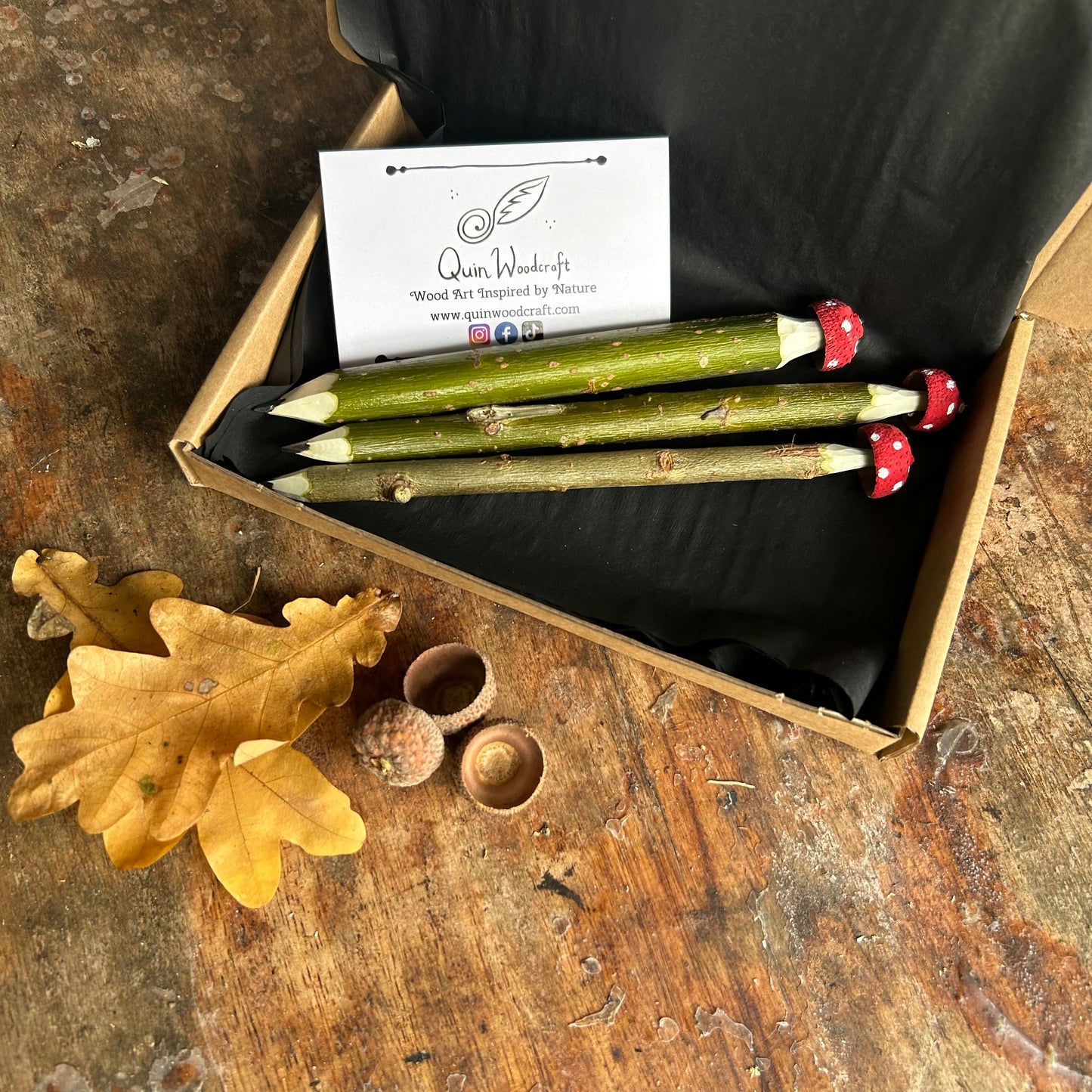 Magic Toadstool Pencils
