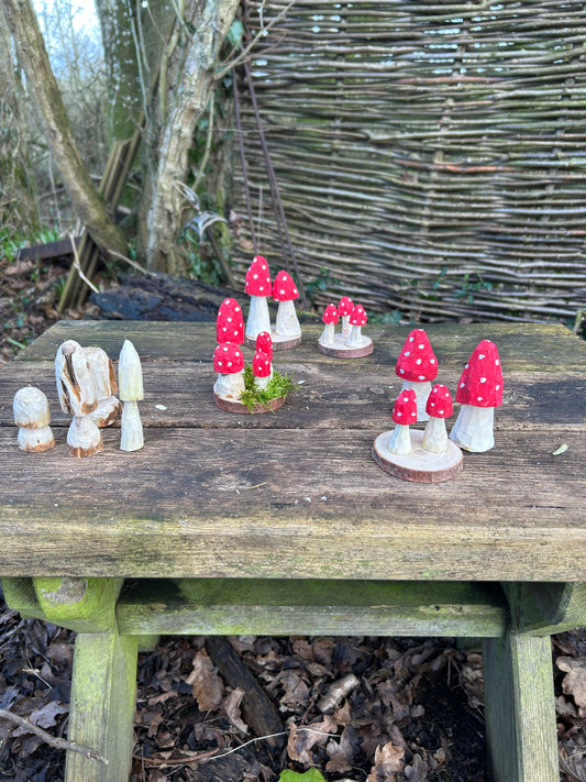 Mini Mushroom Woodcarving Sessions