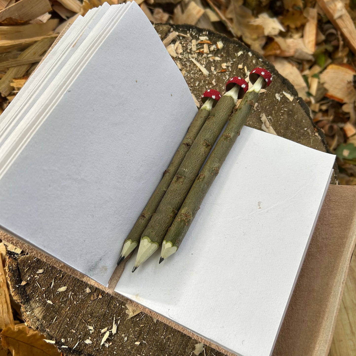 Magic Toadstool Pencils