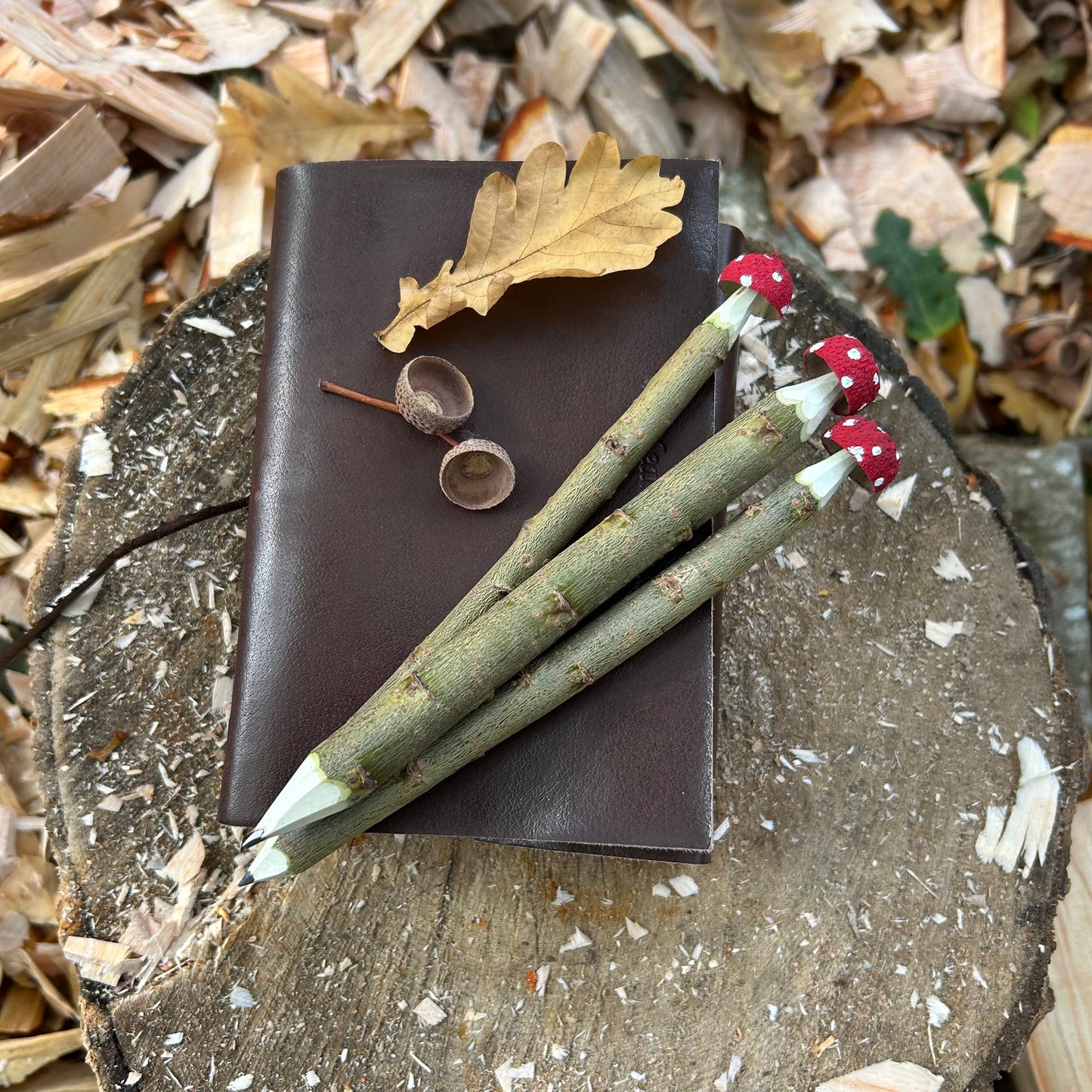 Magic Toadstool Pencils