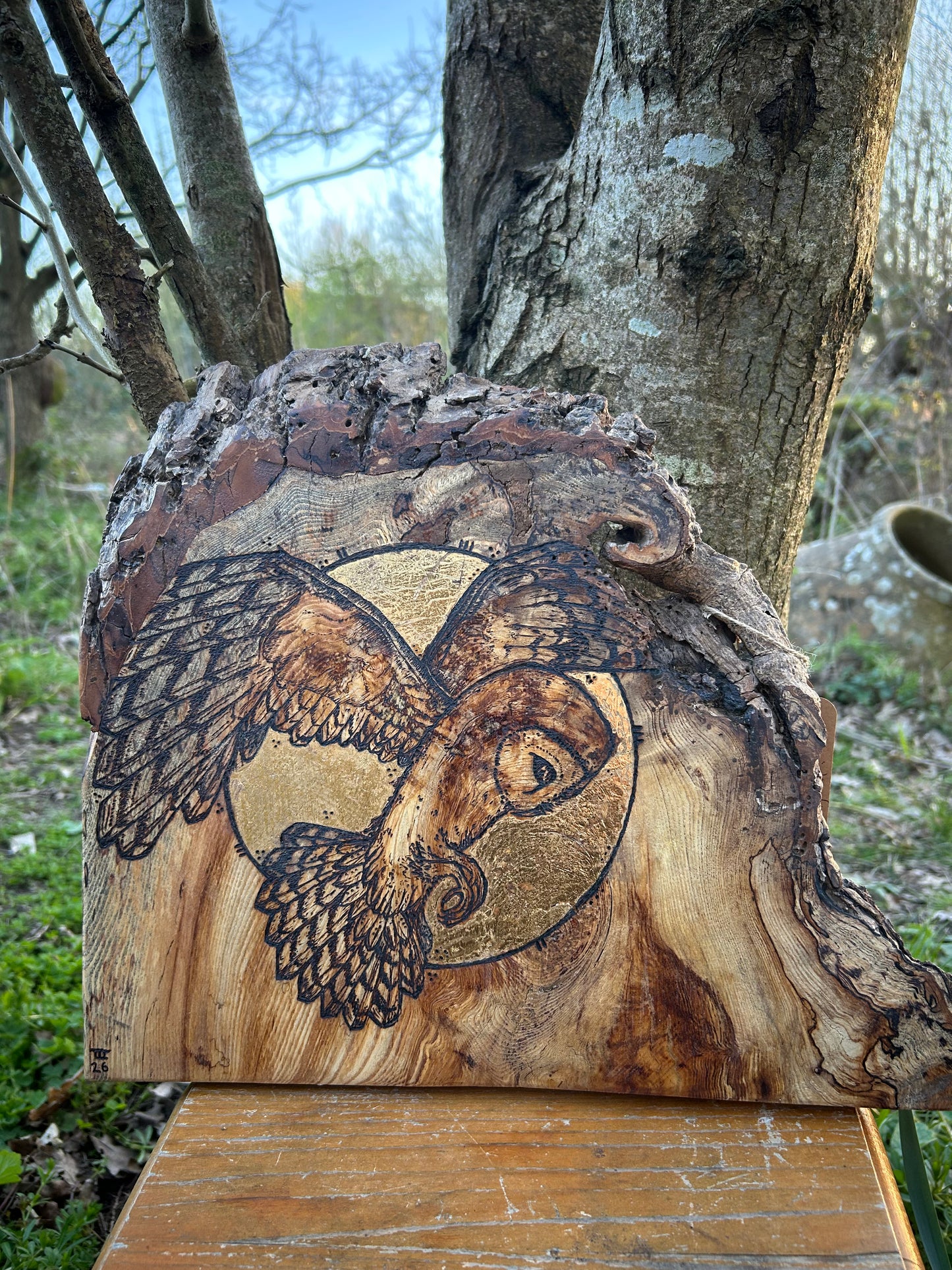 Barn Owl Moon Magic ~ Wall Hanging ~ Spalted Ash