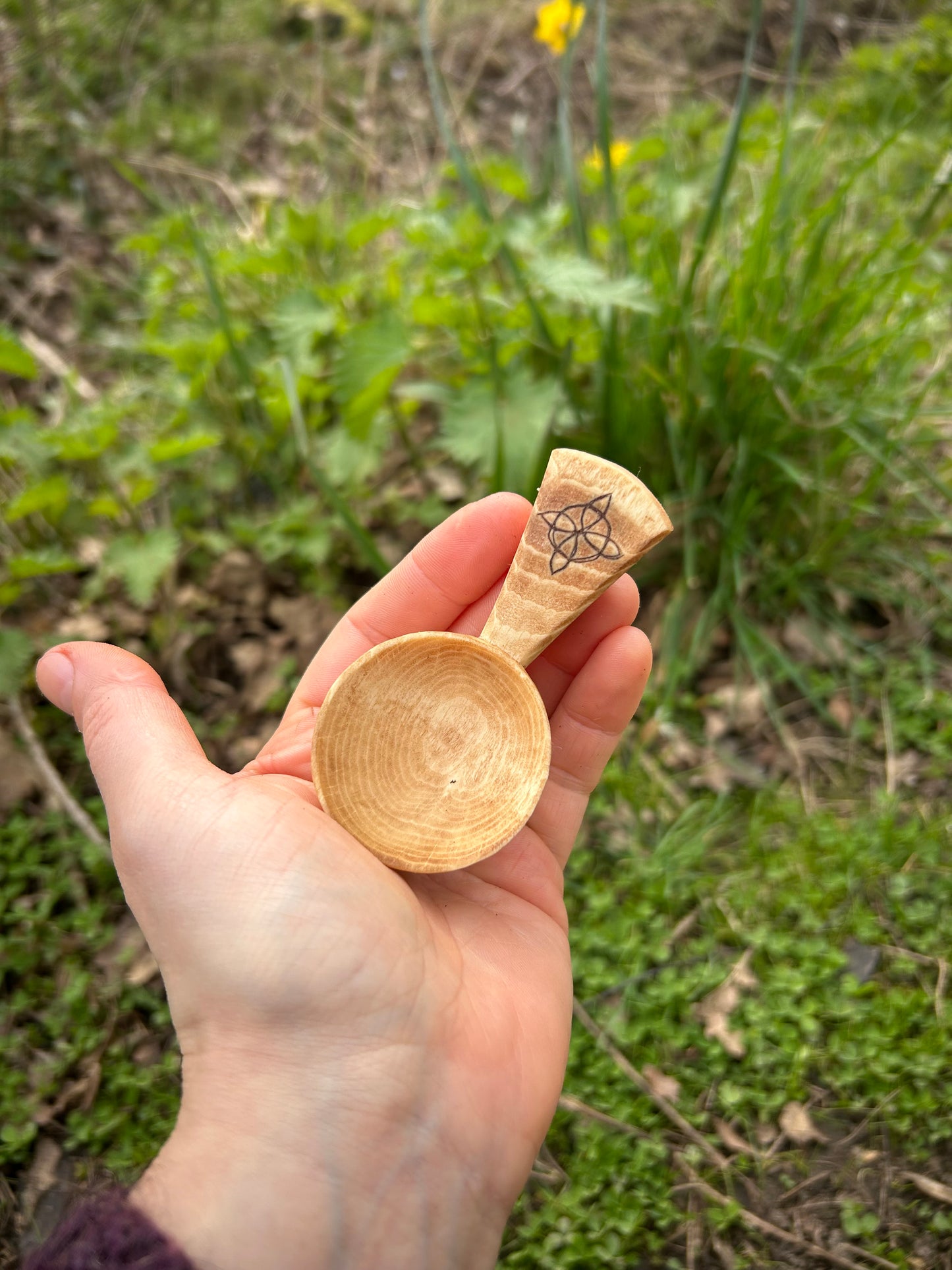 Celtic Caddy Spoon ~ Hexefus ~ Beech Wood