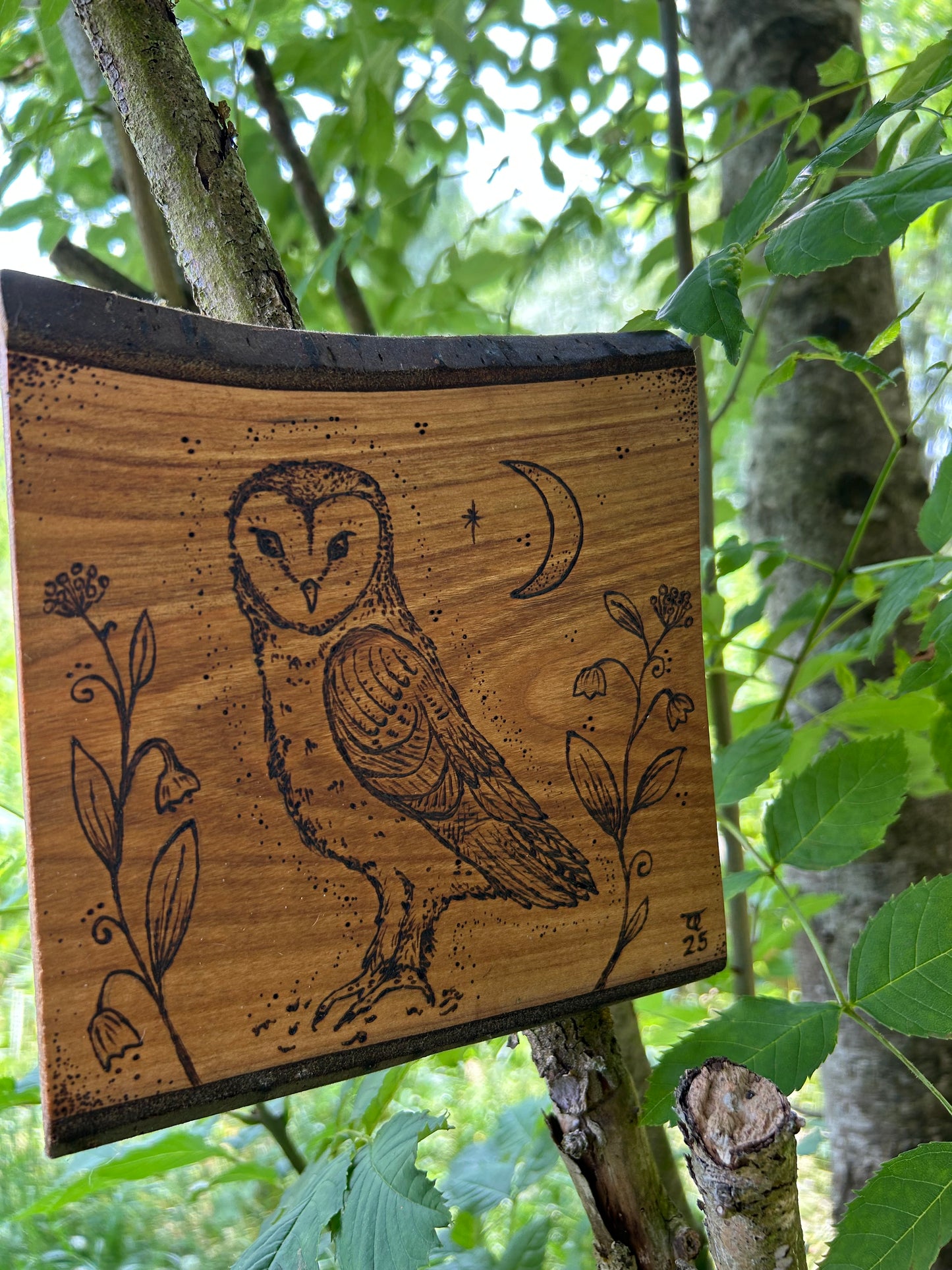Mystic Barn Owl ~ Cherry Wood Wall Hanging