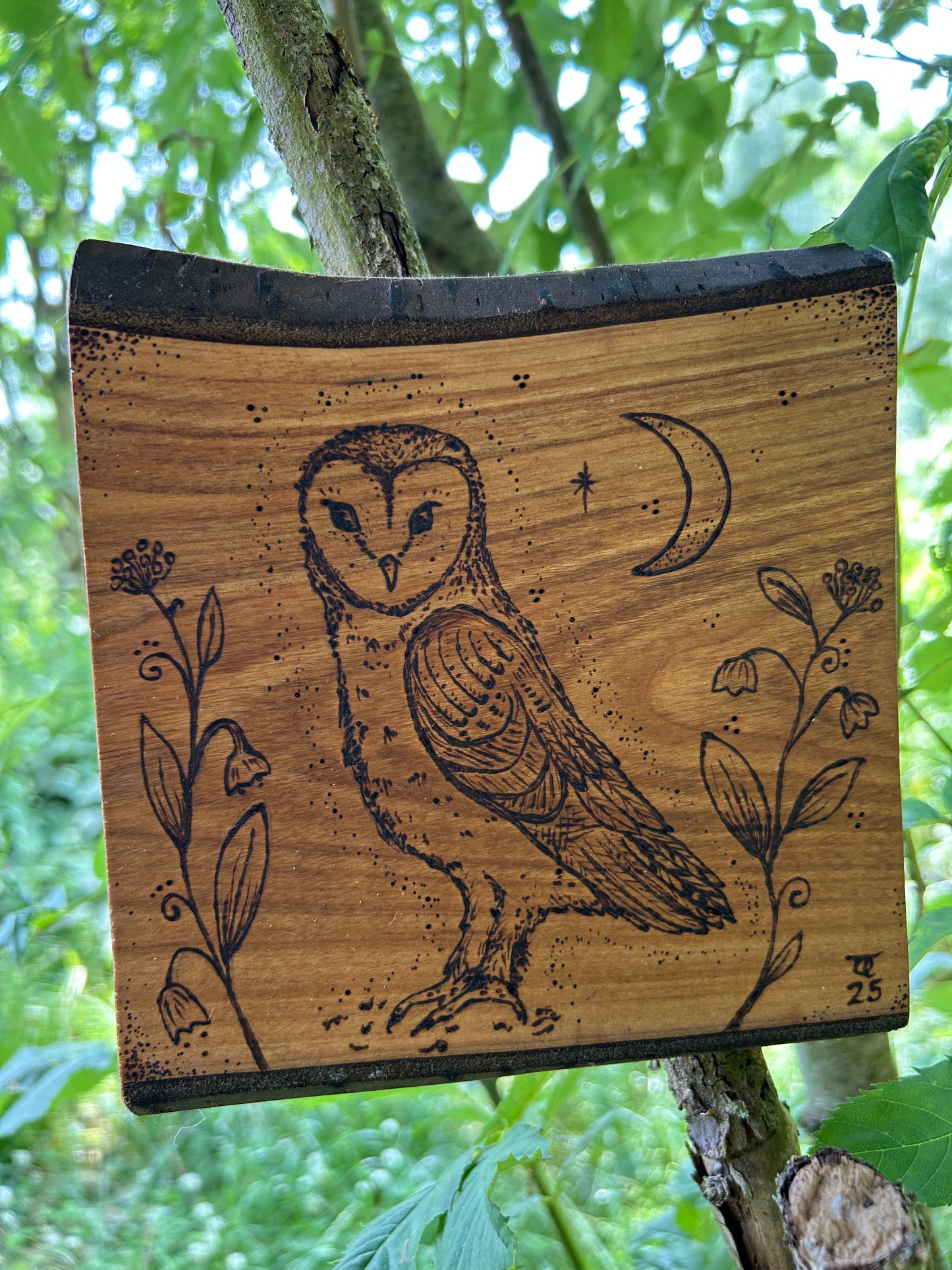 Mystic Barn Owl ~ Cherry Wood Wall Hanging