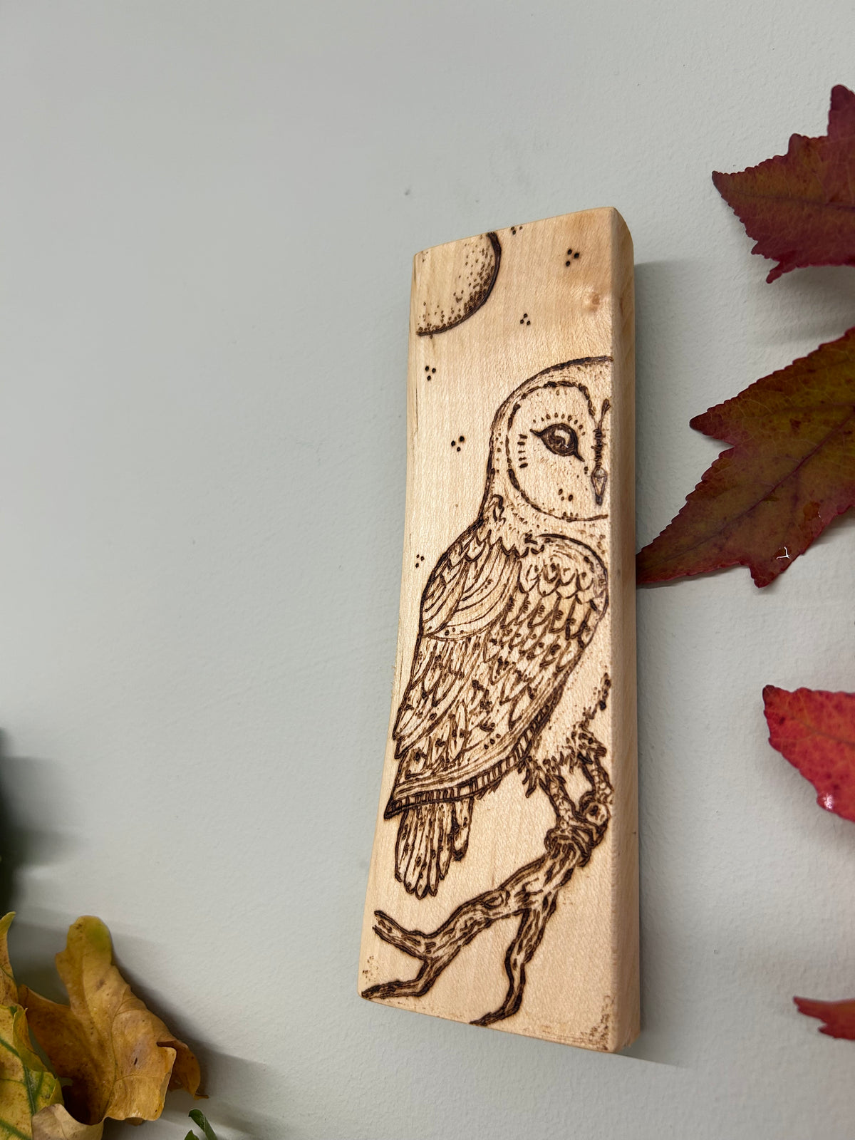 Barn Owl ~ Pyrography Mini Artwork