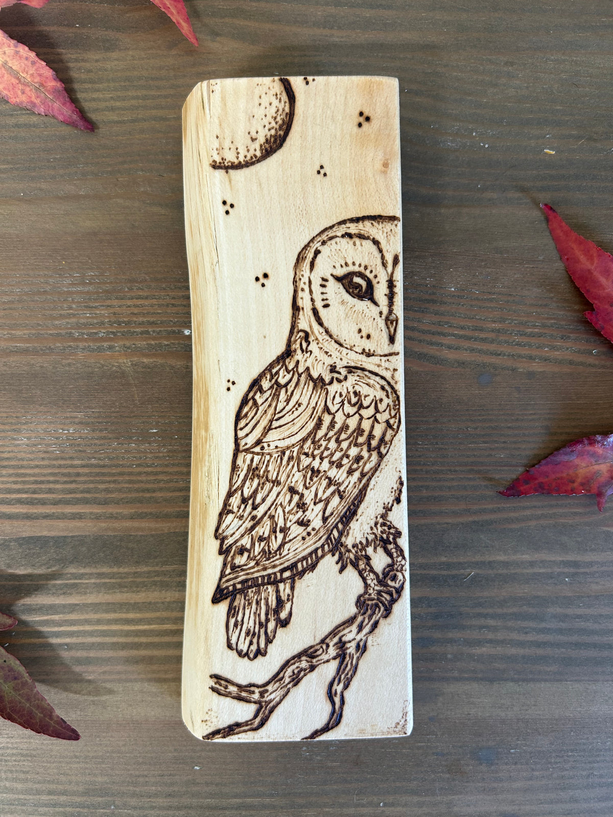Barn Owl ~ Pyrography Mini Artwork