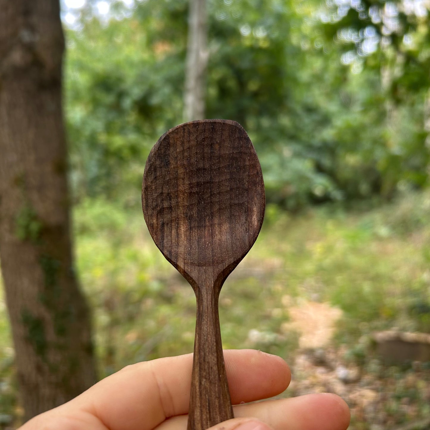 ~ Silky ~ Eating Spoon ~ Walnut