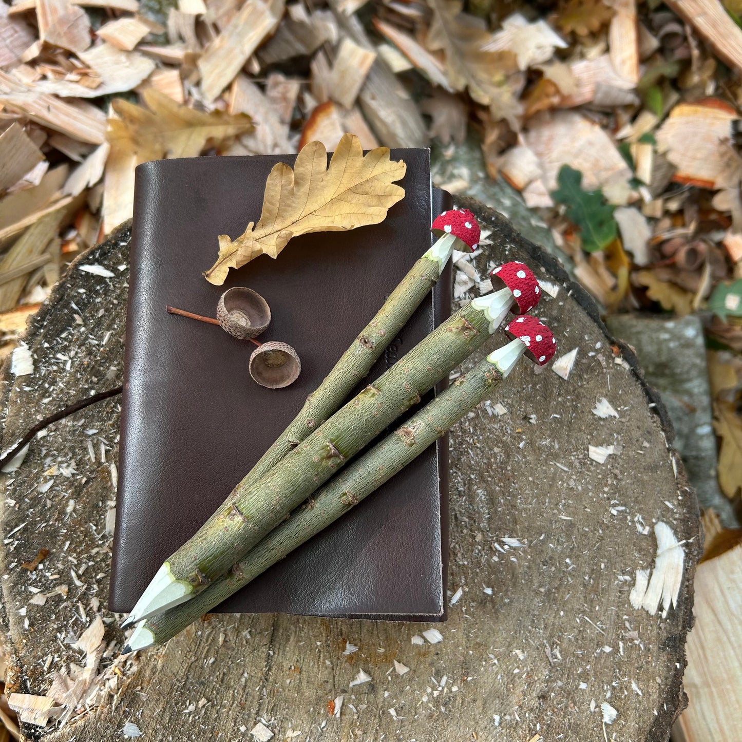 Magic Toadstool Pencils