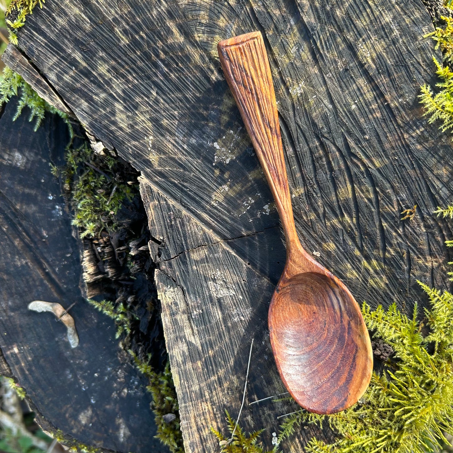 TEXTURE ~ English Elm ~ Eating Spoon