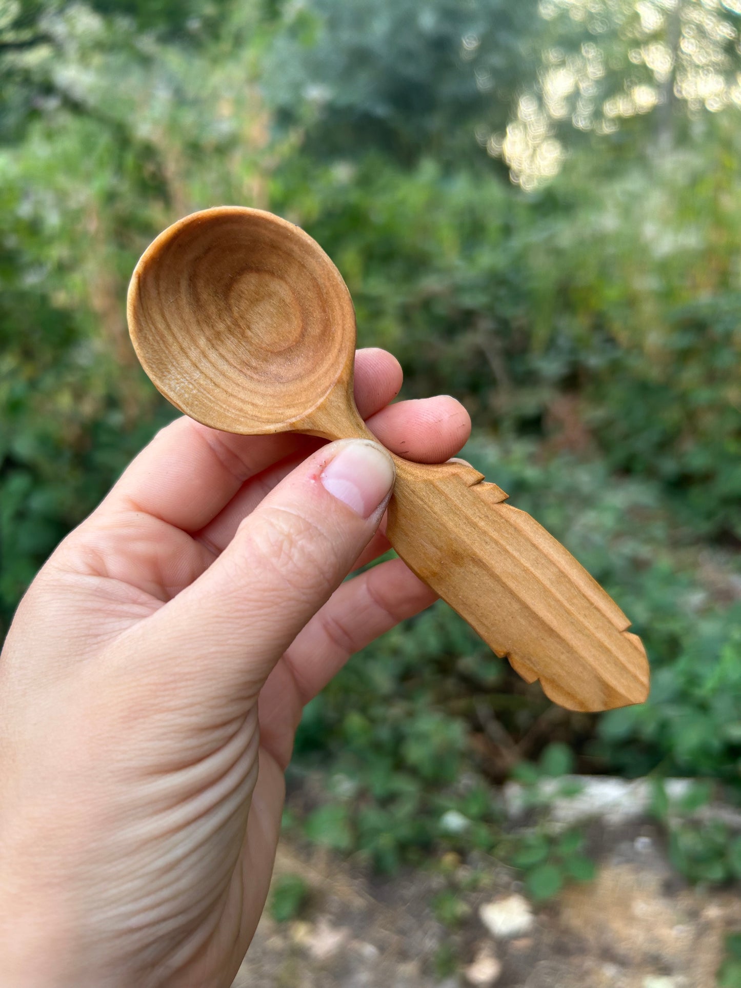 Flight ~ Feather Coffee Scoop ~ Cherry Wood