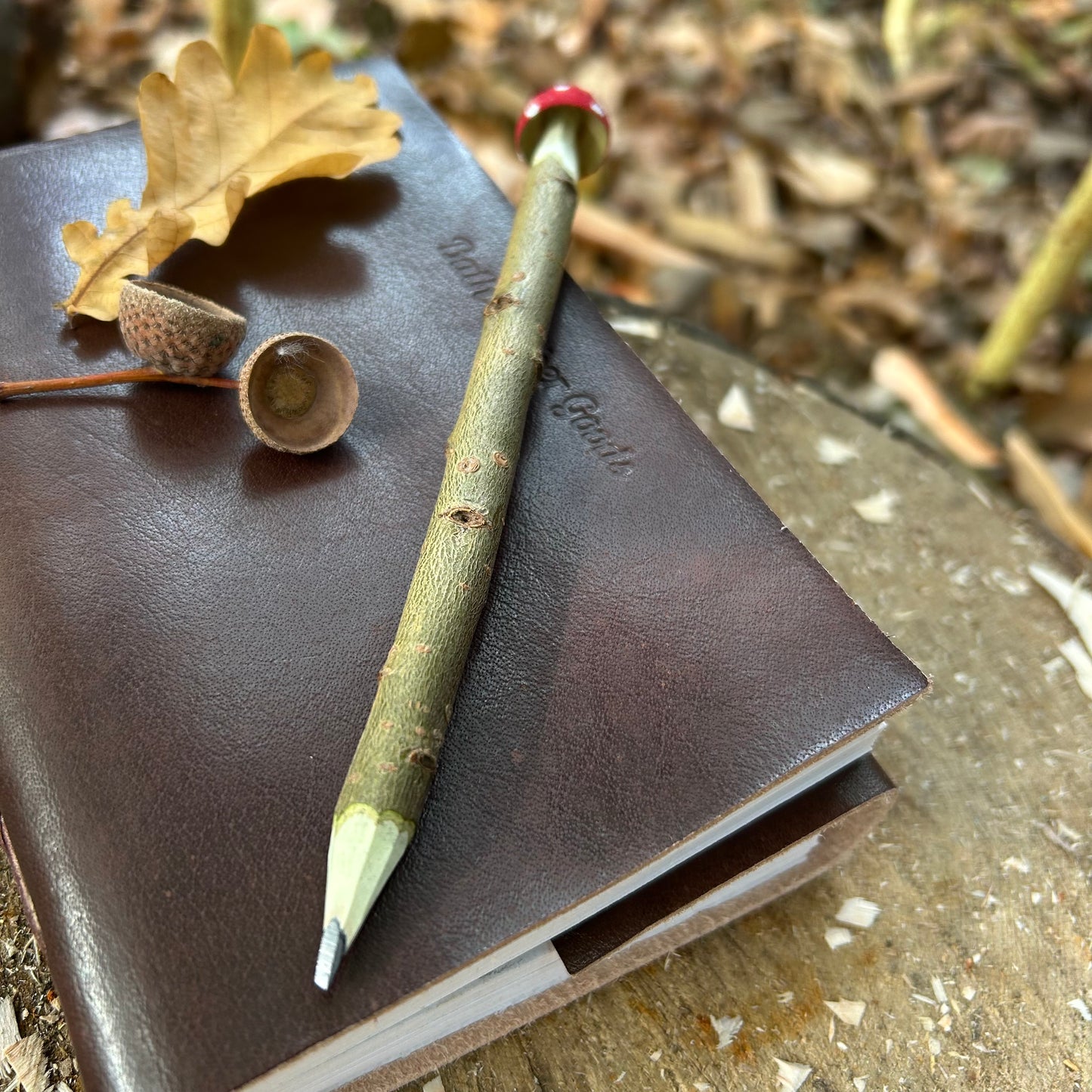 Magic Toadstool Pencils
