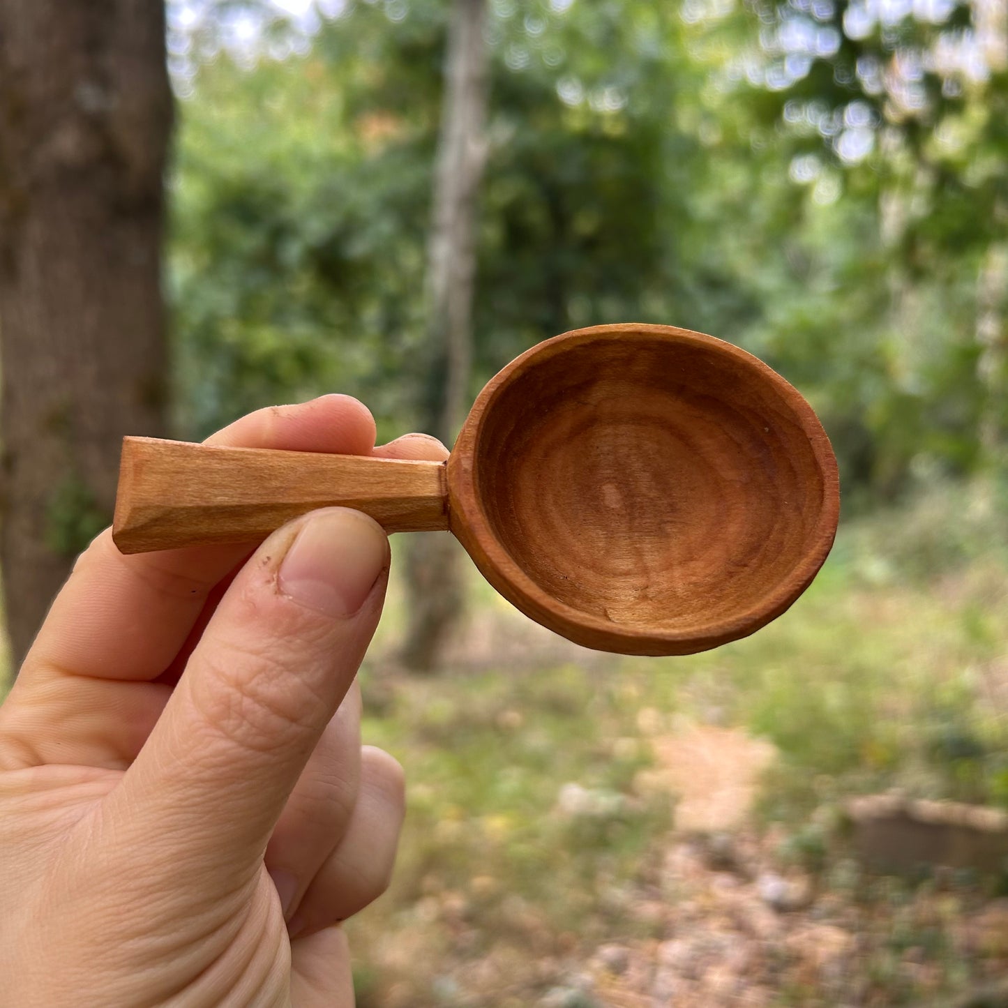 ~ Circles ~ Coffee Scoop ~ Cherry