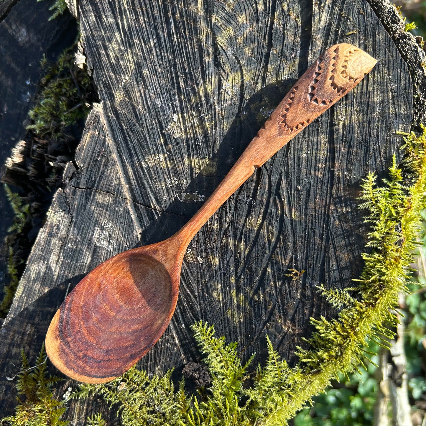 WAVES ~ English Elm ~ Eating Spoon