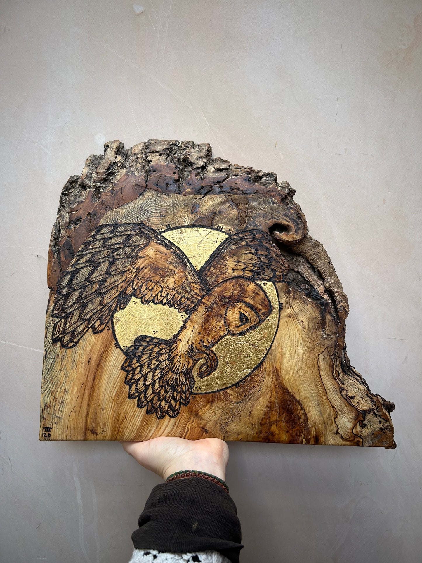 Barn Owl Moon Magic ~ Wall Hanging ~ Spalted Ash
