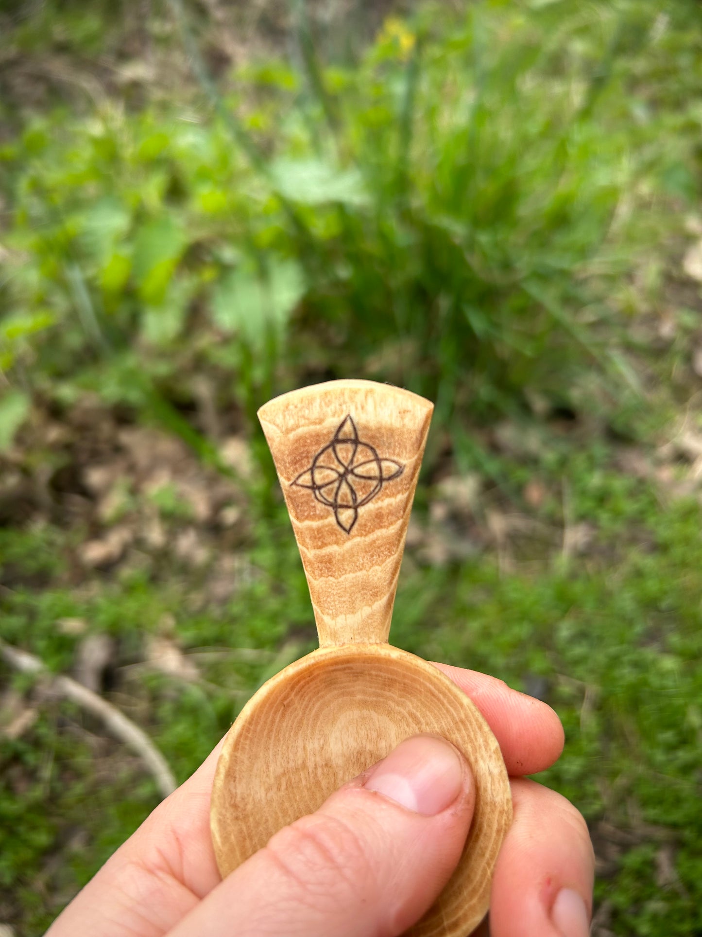 Celtic Caddy Spoon ~ Hexefus ~ Beech Wood
