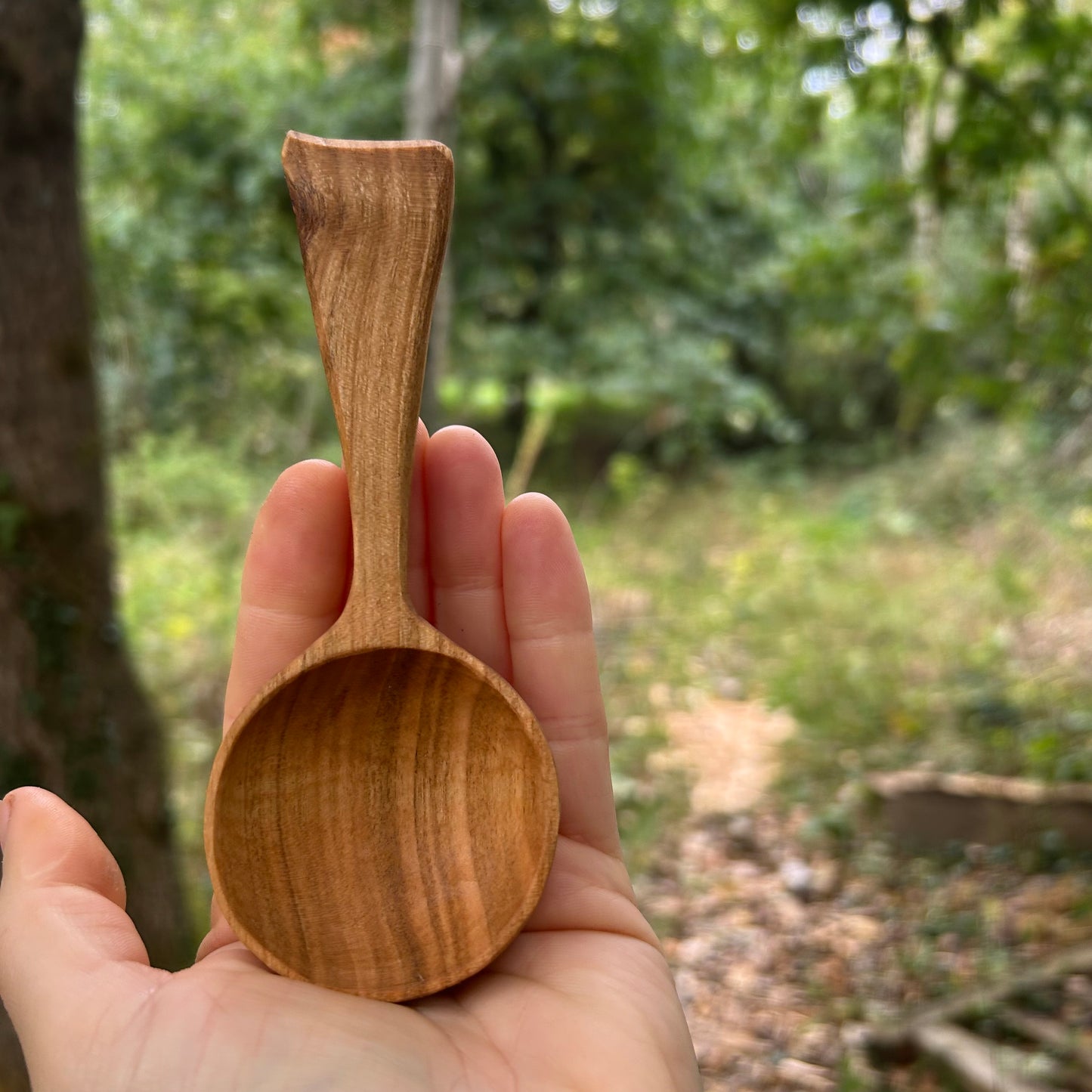 ~ Float ~ Coffee Scoop ~ Cherry