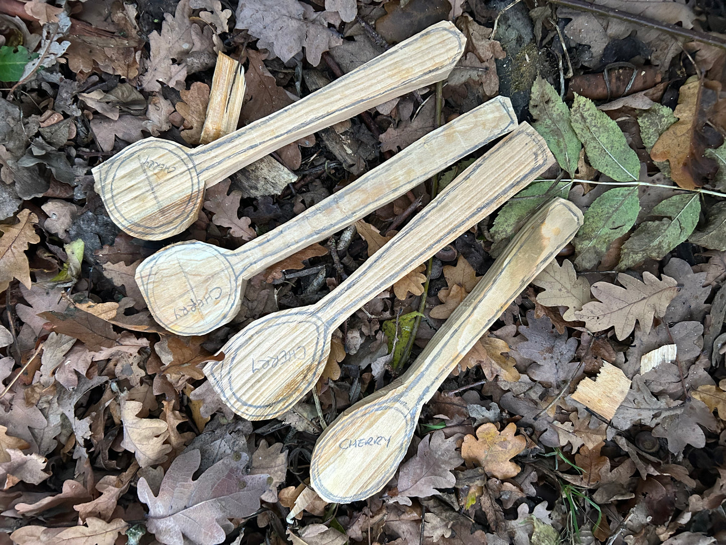Spoon Carving Kits