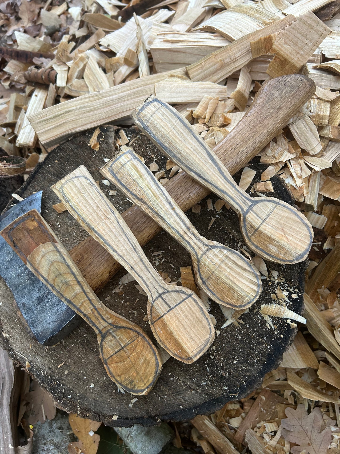 Spoon Carving Kits