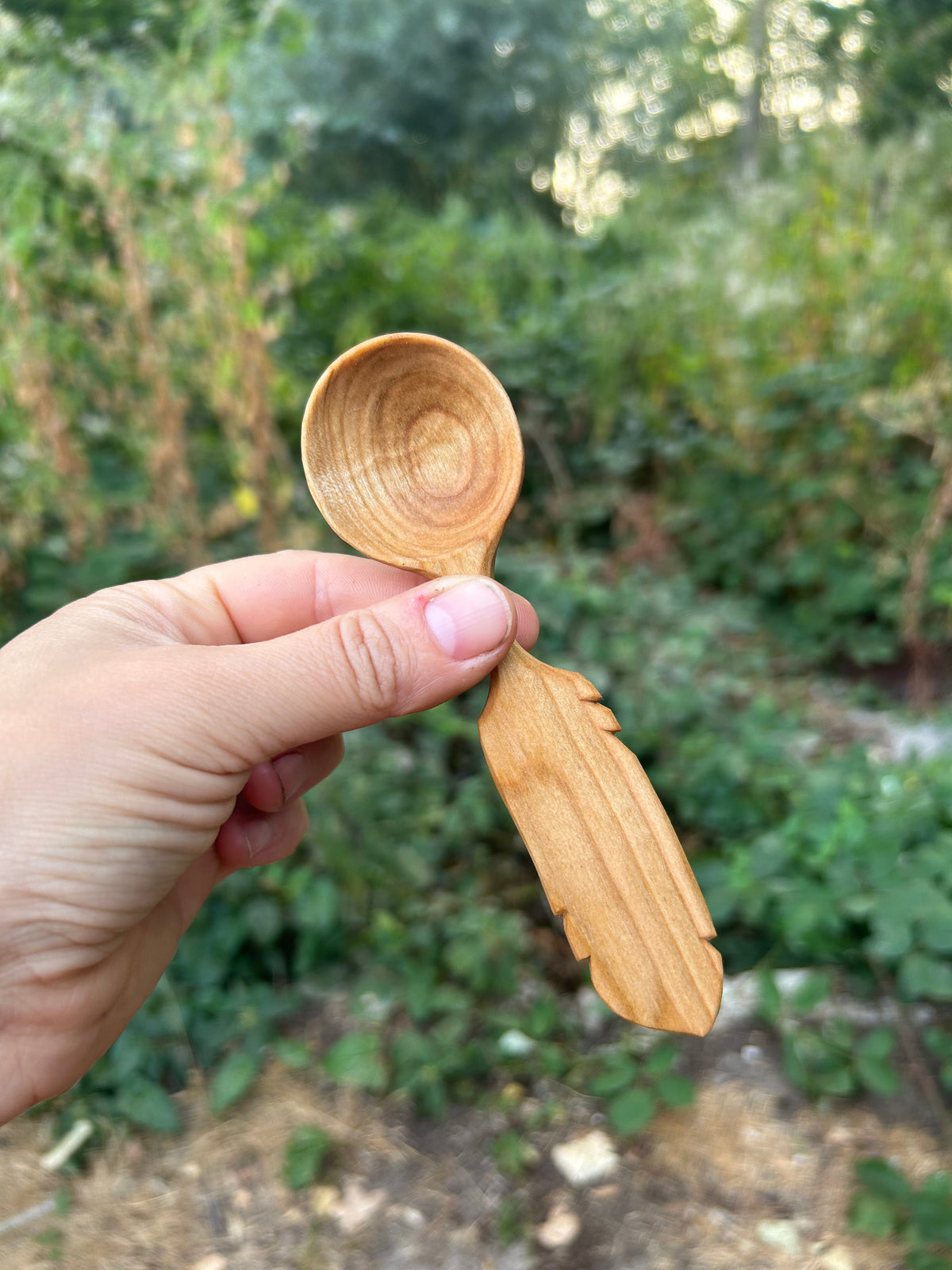 Flight ~ Feather Coffee Scoop ~ Cherry Wood