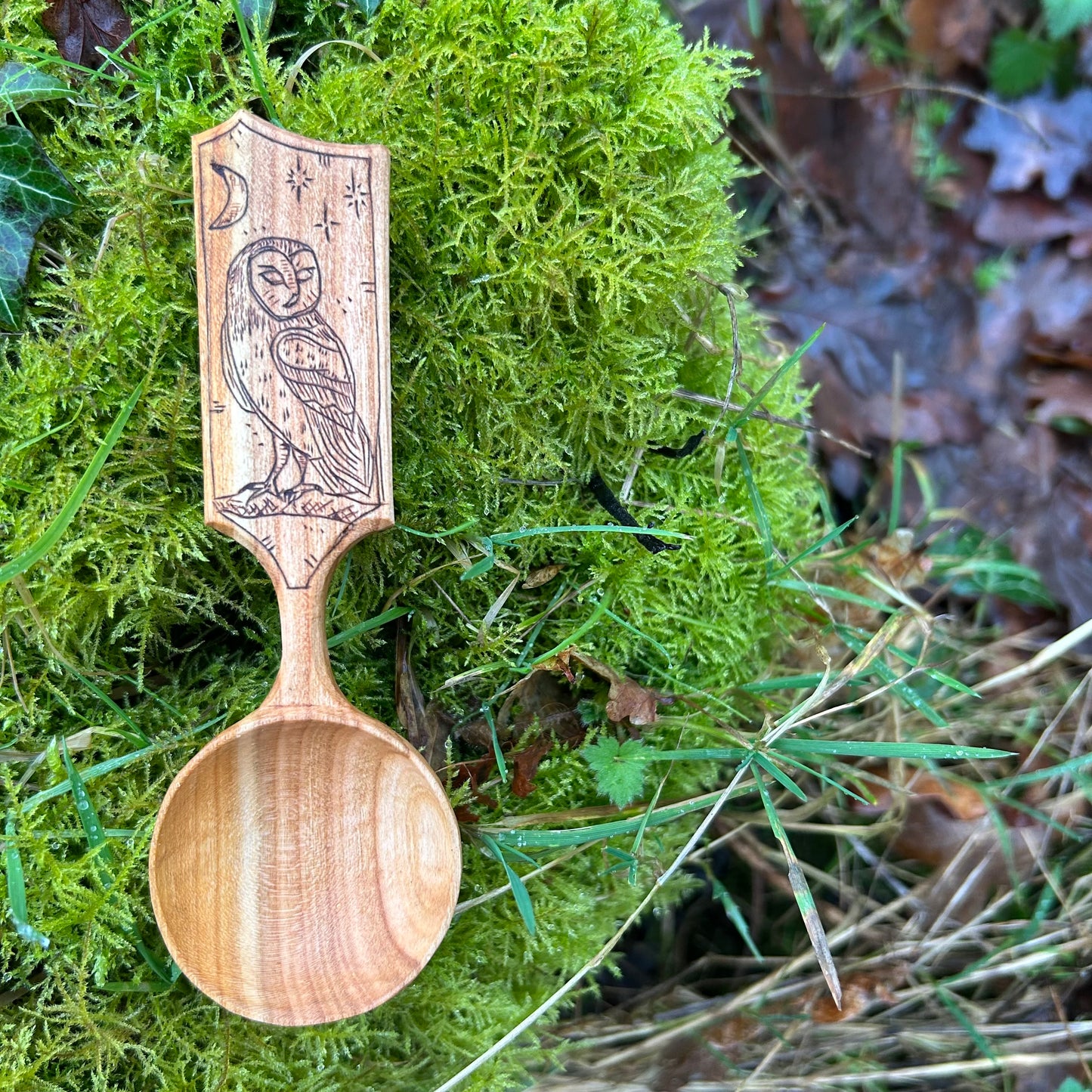 Moonlit Barn Owl ~ Scoop ~ Cherry Wood