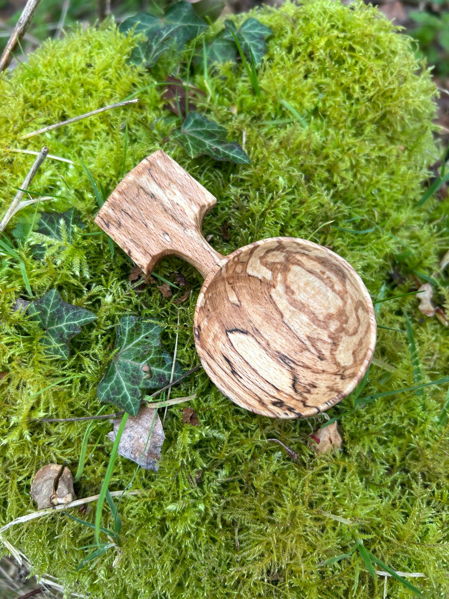 Fawn ~ Scoop ~ Spalted Beech