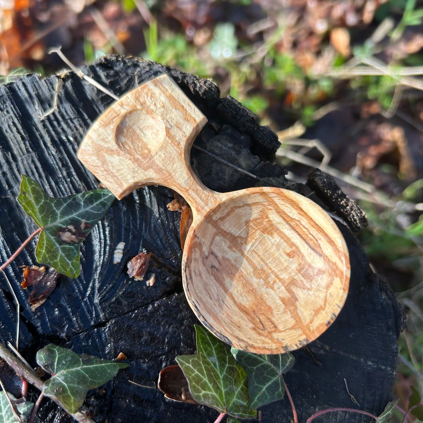 ~ Circles ~ Small Caddy Spoon ~ Spalted Beech
