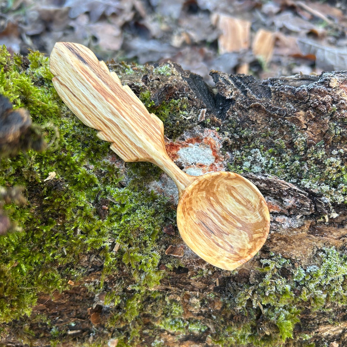 A-symmetrical Feather Scoop ~ Spalted Beech