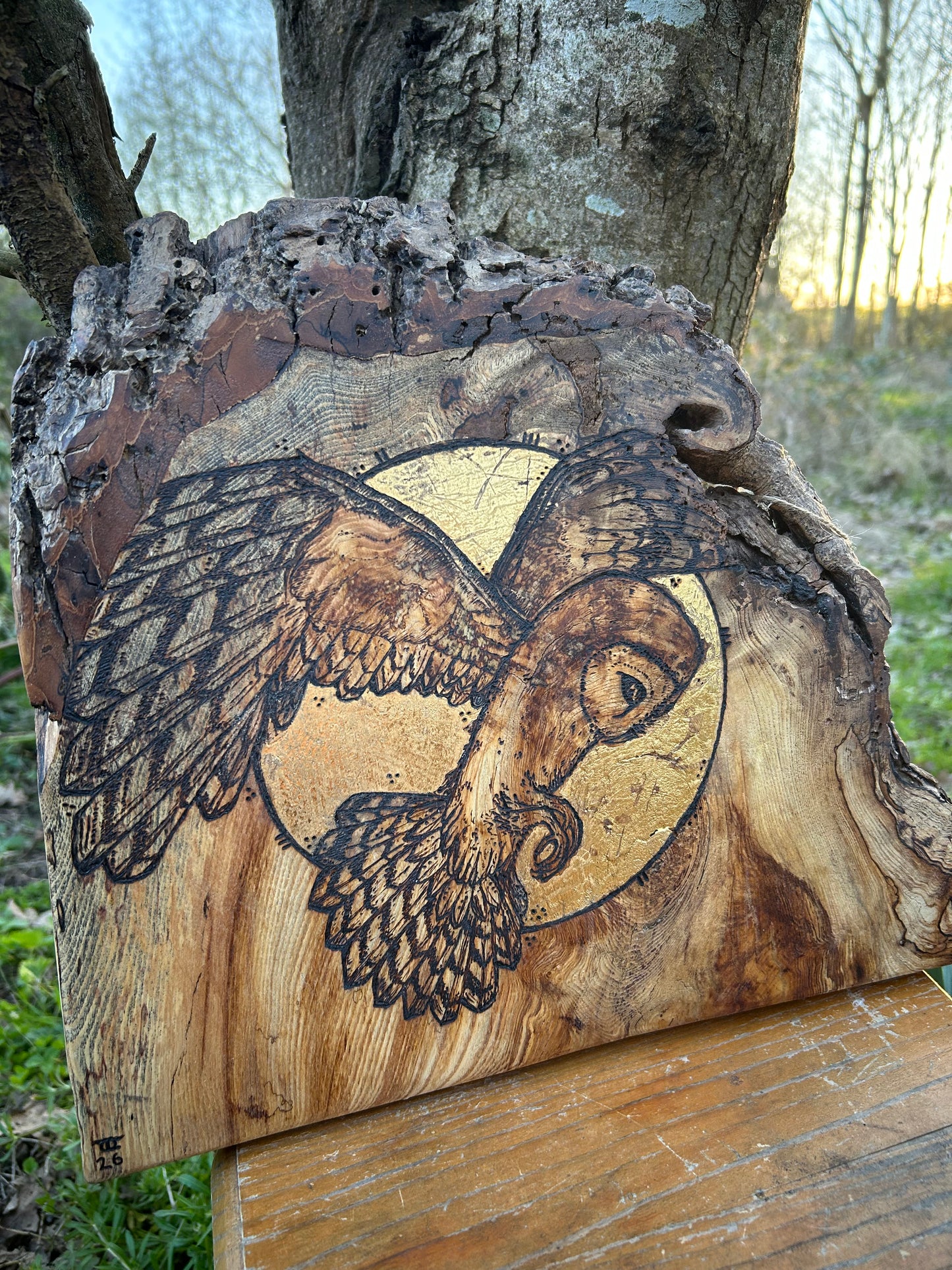 Barn Owl Moon Magic ~ Wall Hanging ~ Spalted Ash