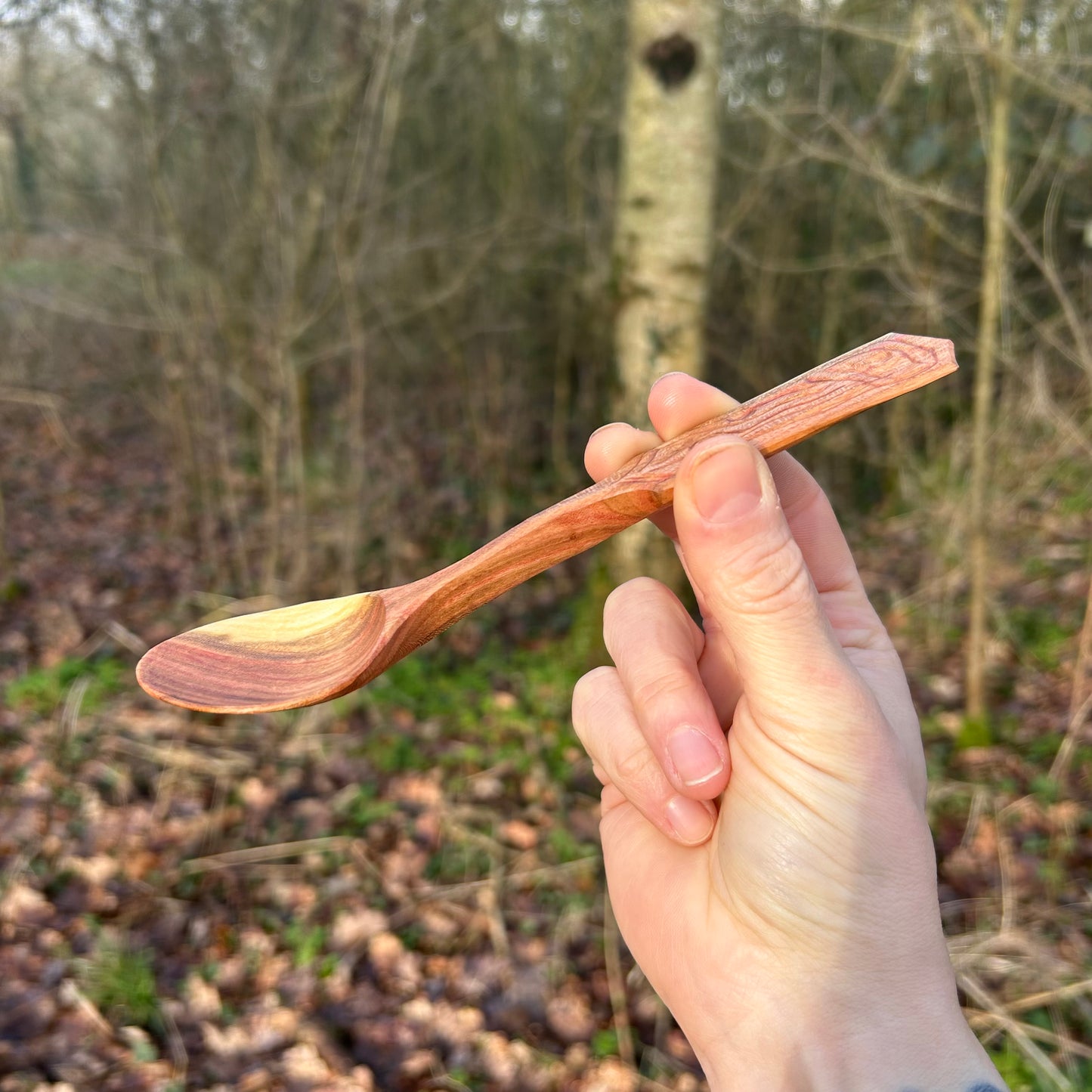 ~ Curve ~ Plum Wood ~ Eating Spoon