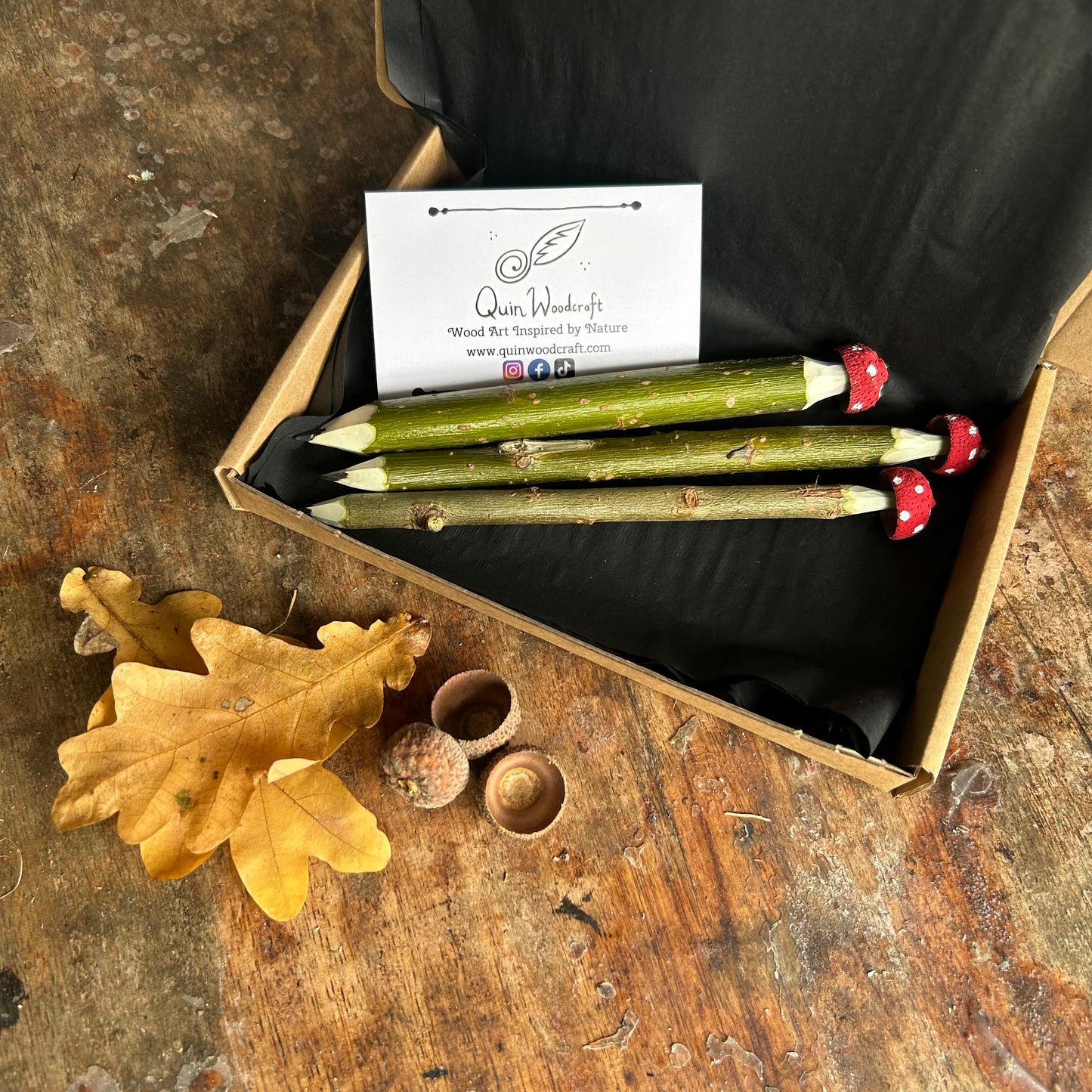 Magic Toadstool Pencils