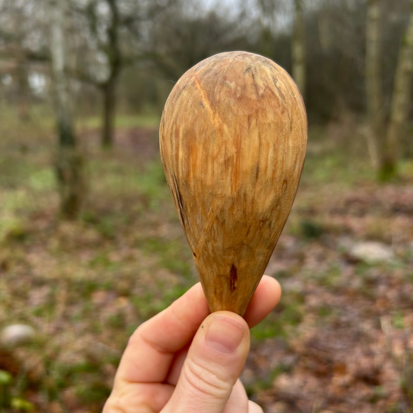 Chunky Coffee Scoop - Spalted Hazel