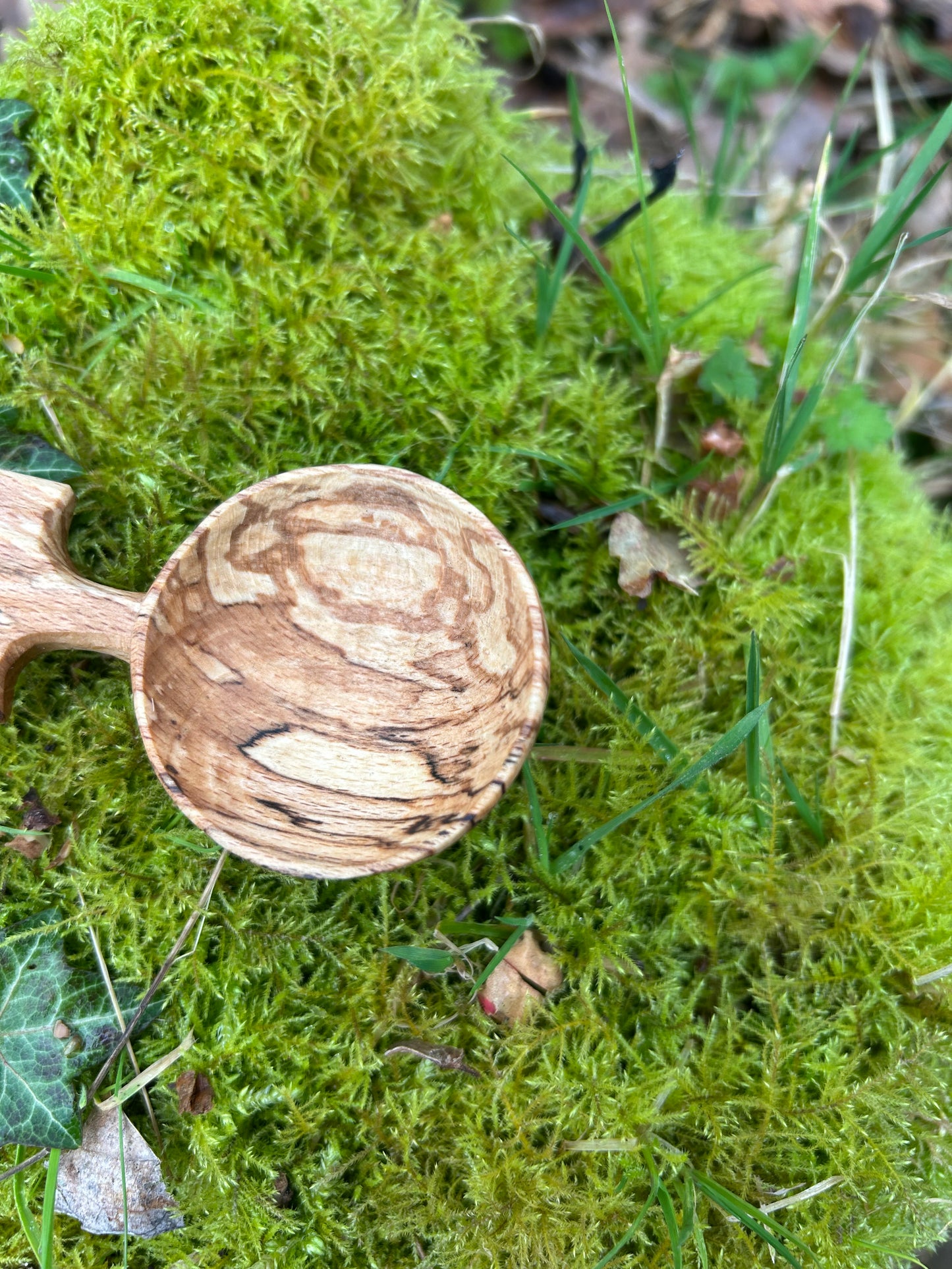 Fawn ~ Scoop ~ Spalted Beech