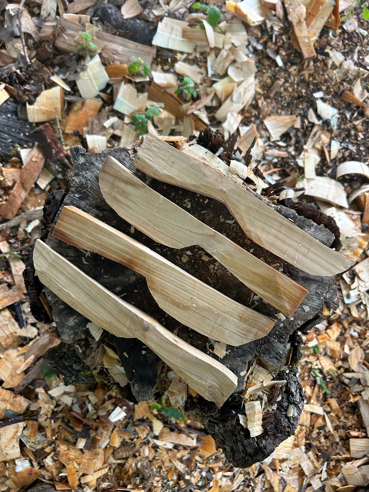 Butter Spreader Carving Kits
