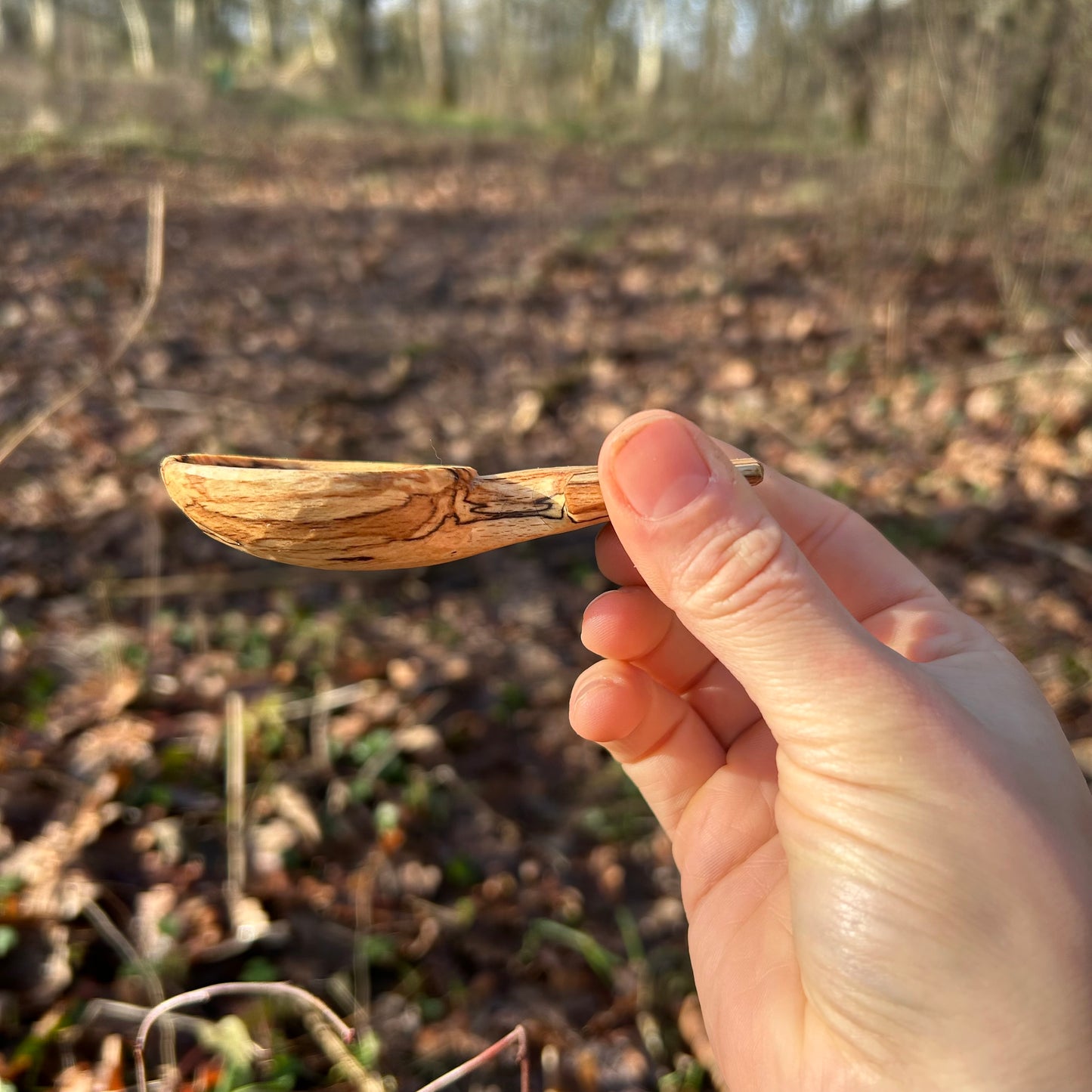~ Circles ~ Coffee Scoop ~ Spalted Beech