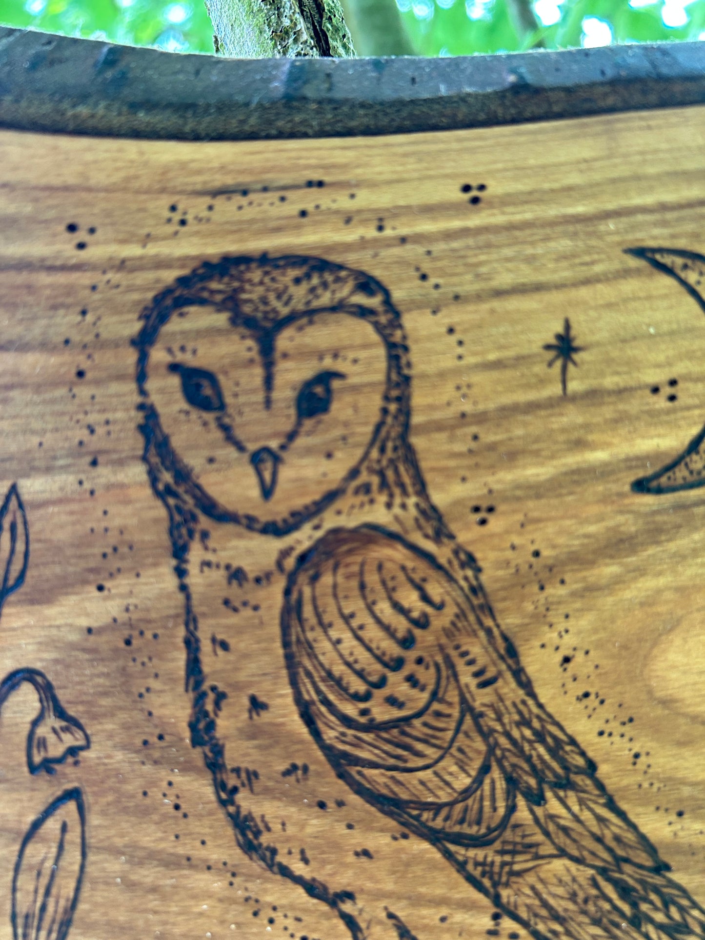 Mystic Barn Owl ~ Cherry Wood Wall Hanging
