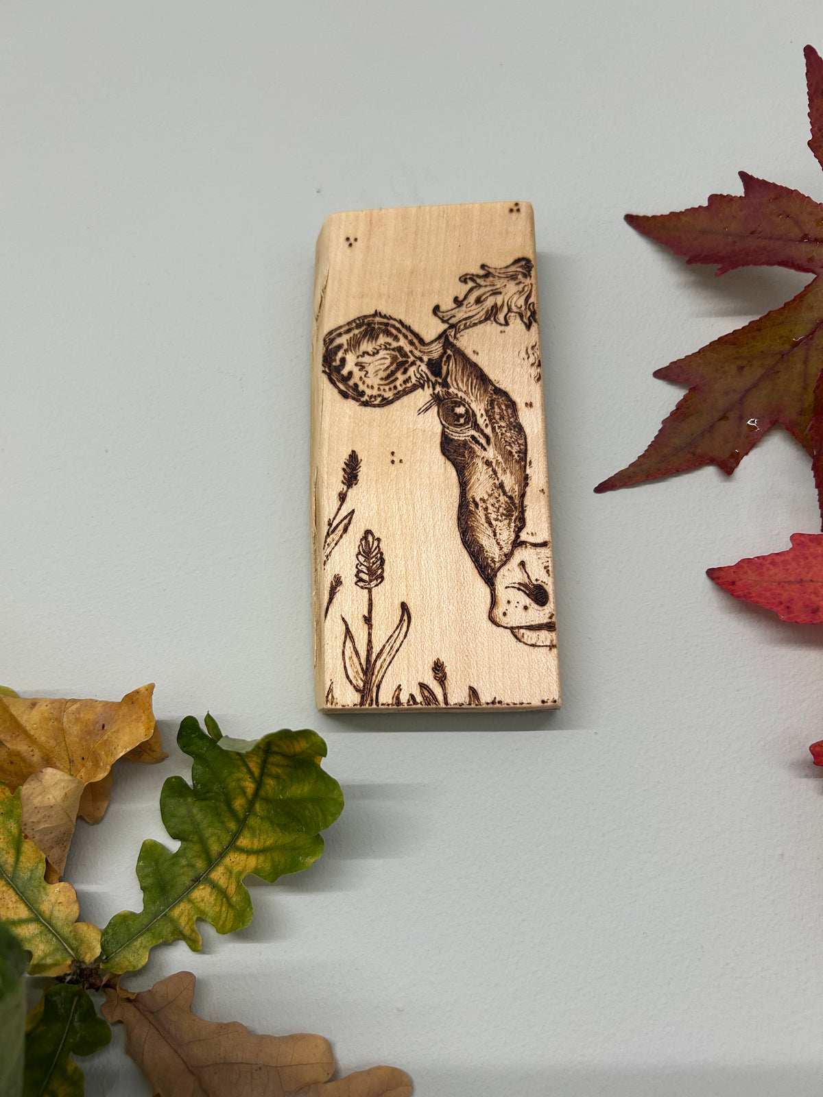 Dairy Cow ~ Mini Pyrography Artwork