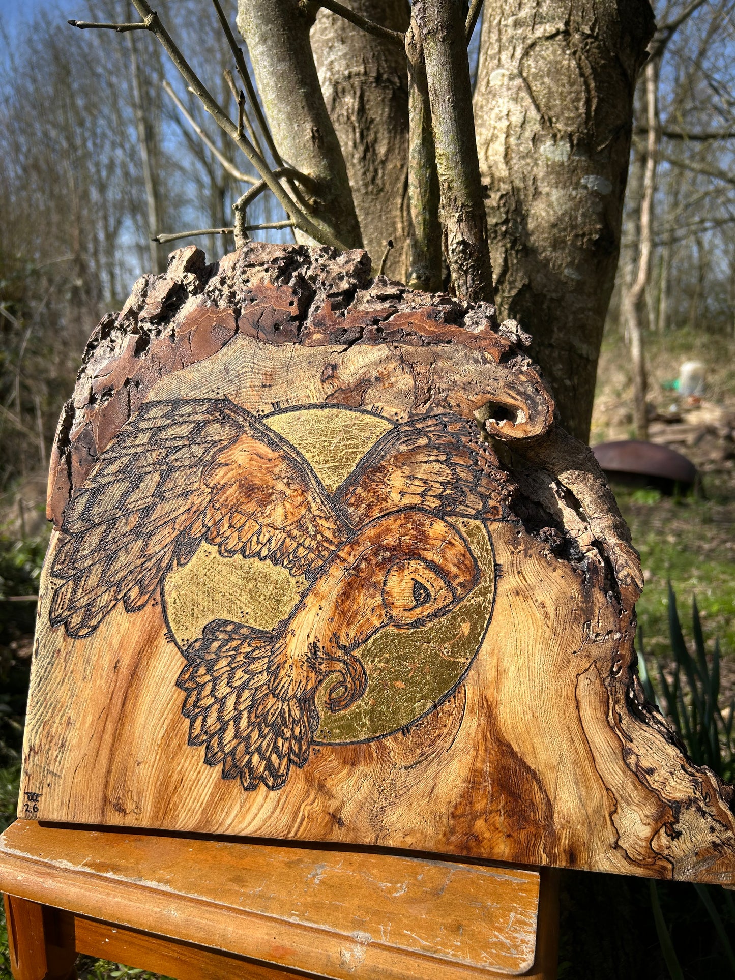 Barn Owl Moon Magic ~ Wall Hanging ~ Spalted Ash