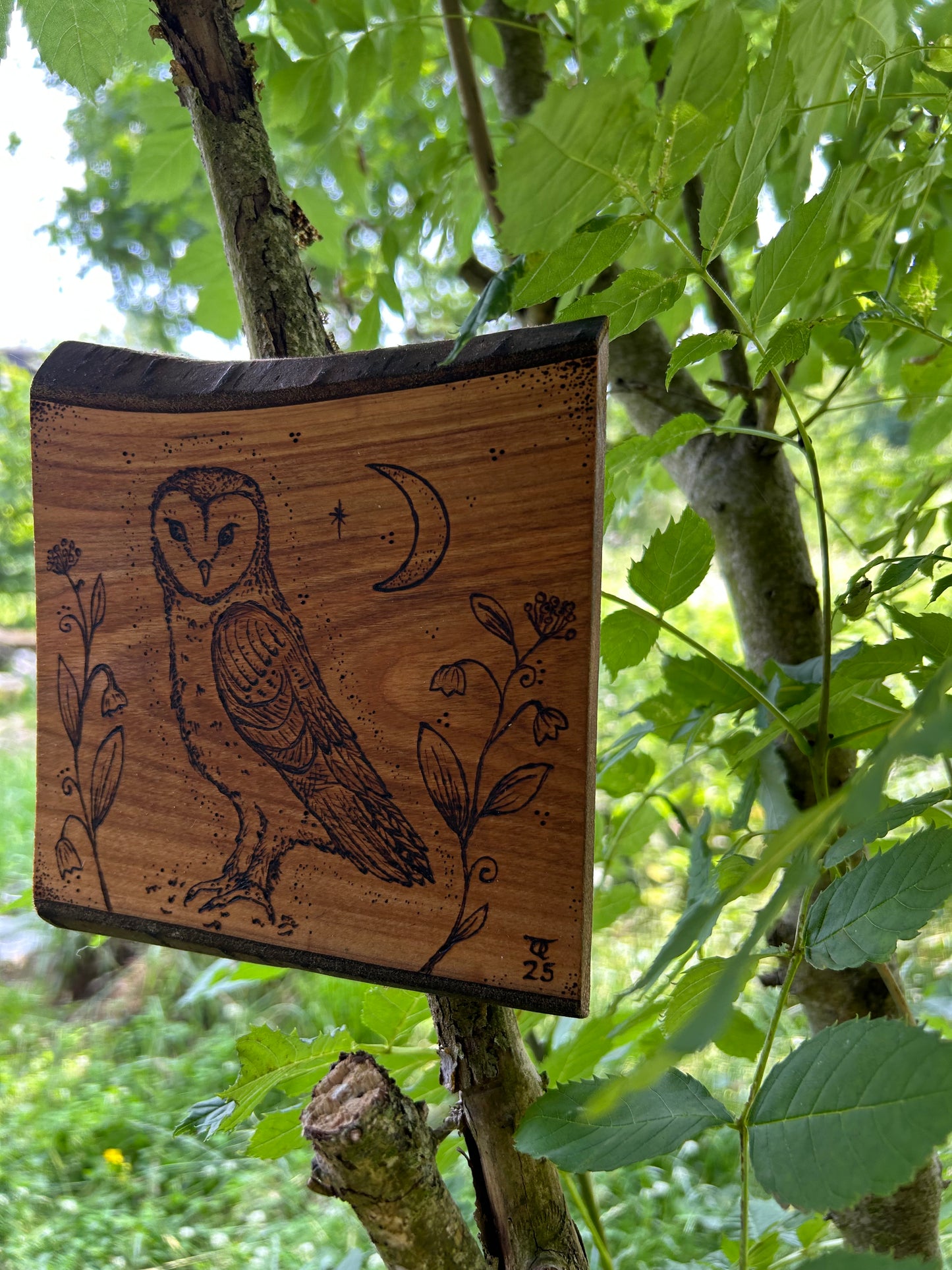 Mystic Barn Owl ~ Cherry Wood Wall Hanging