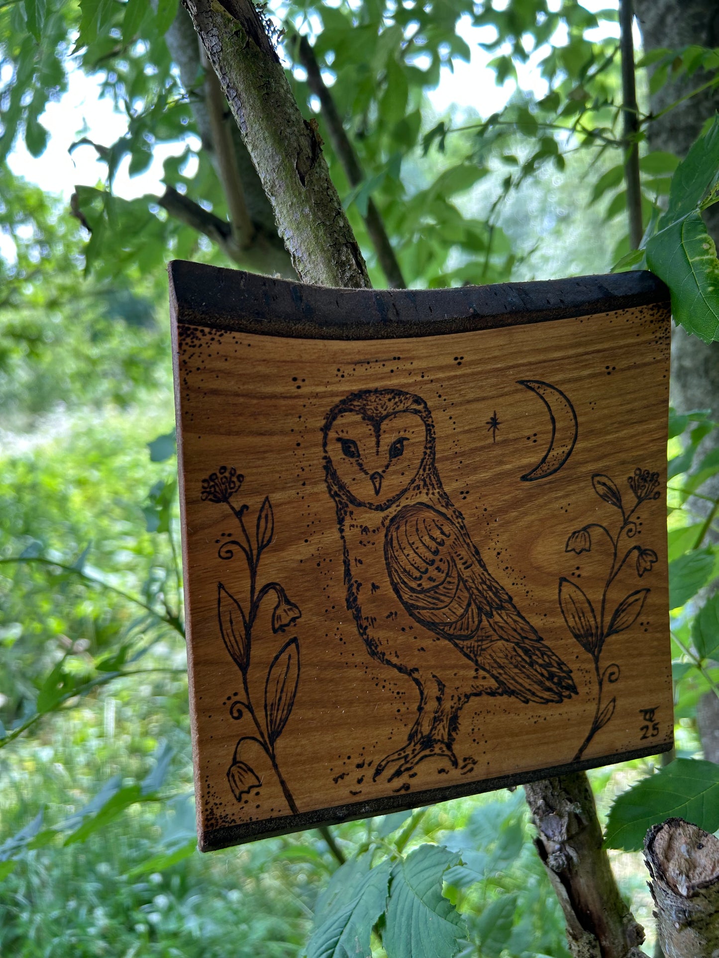 Mystic Barn Owl ~ Cherry Wood Wall Hanging
