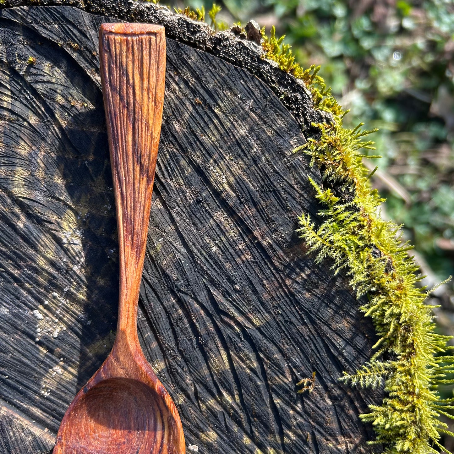 TEXTURE ~ English Elm ~ Eating Spoon